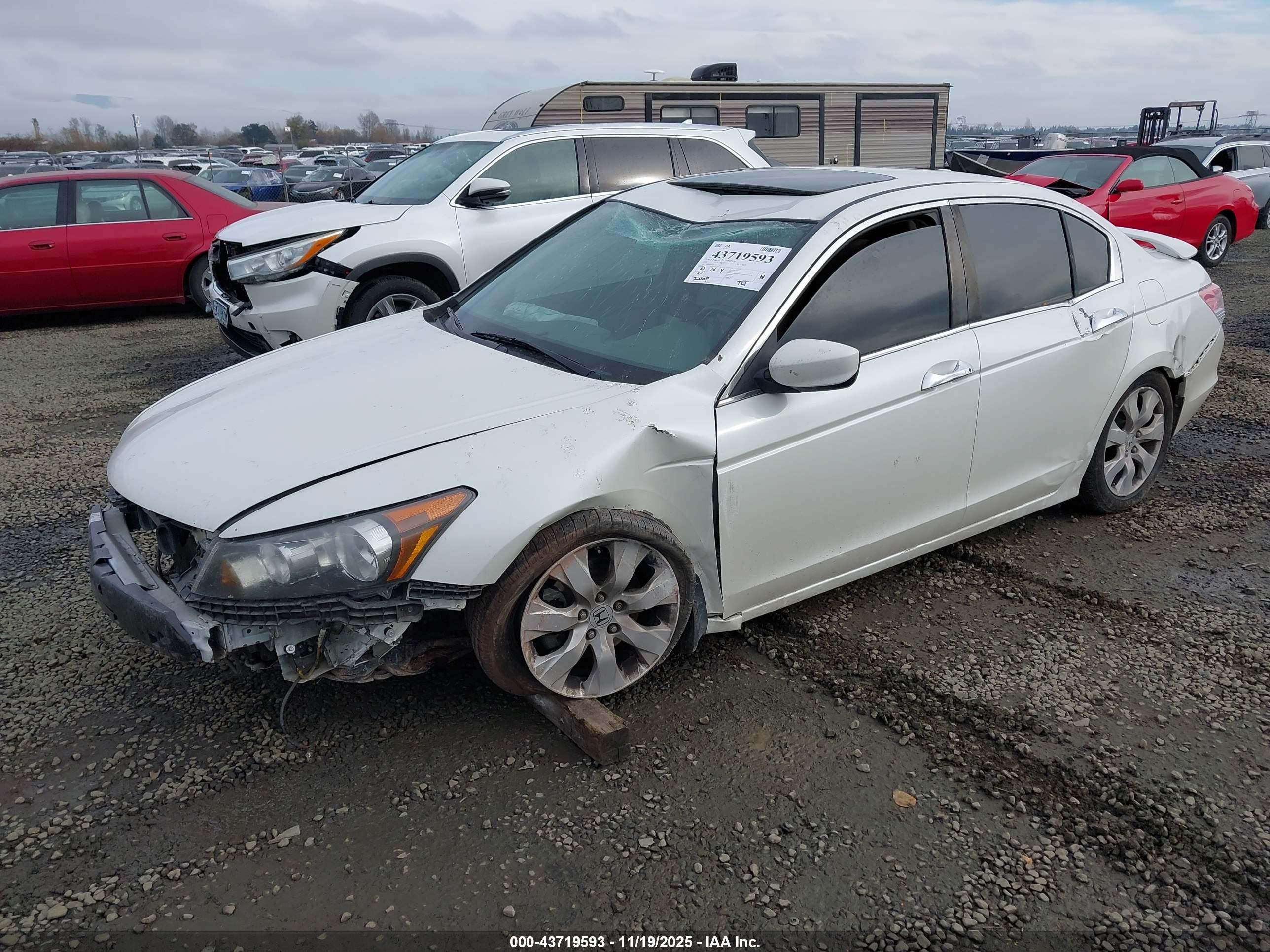 HONDA ACCORD image 2
