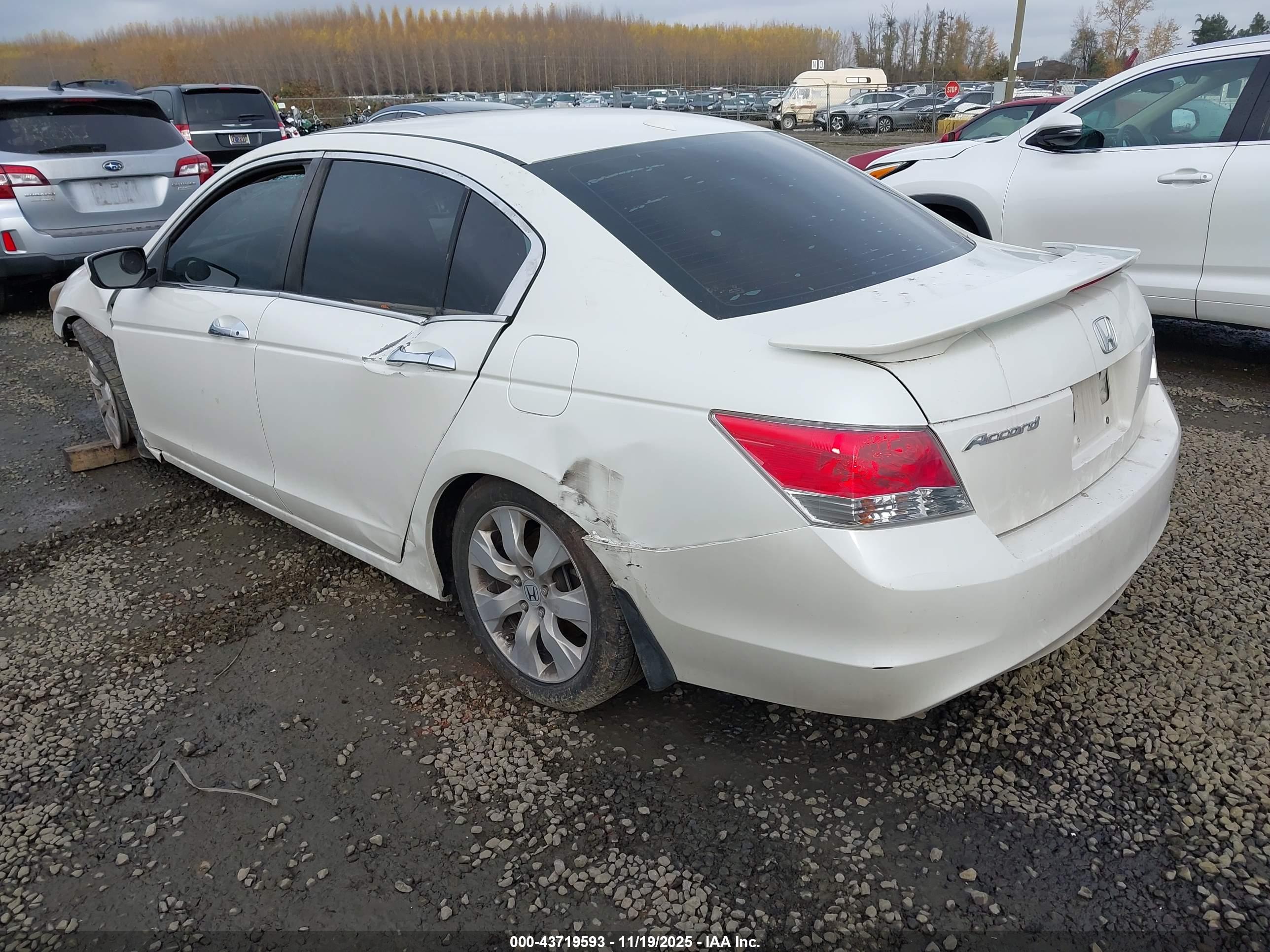 HONDA ACCORD image 3