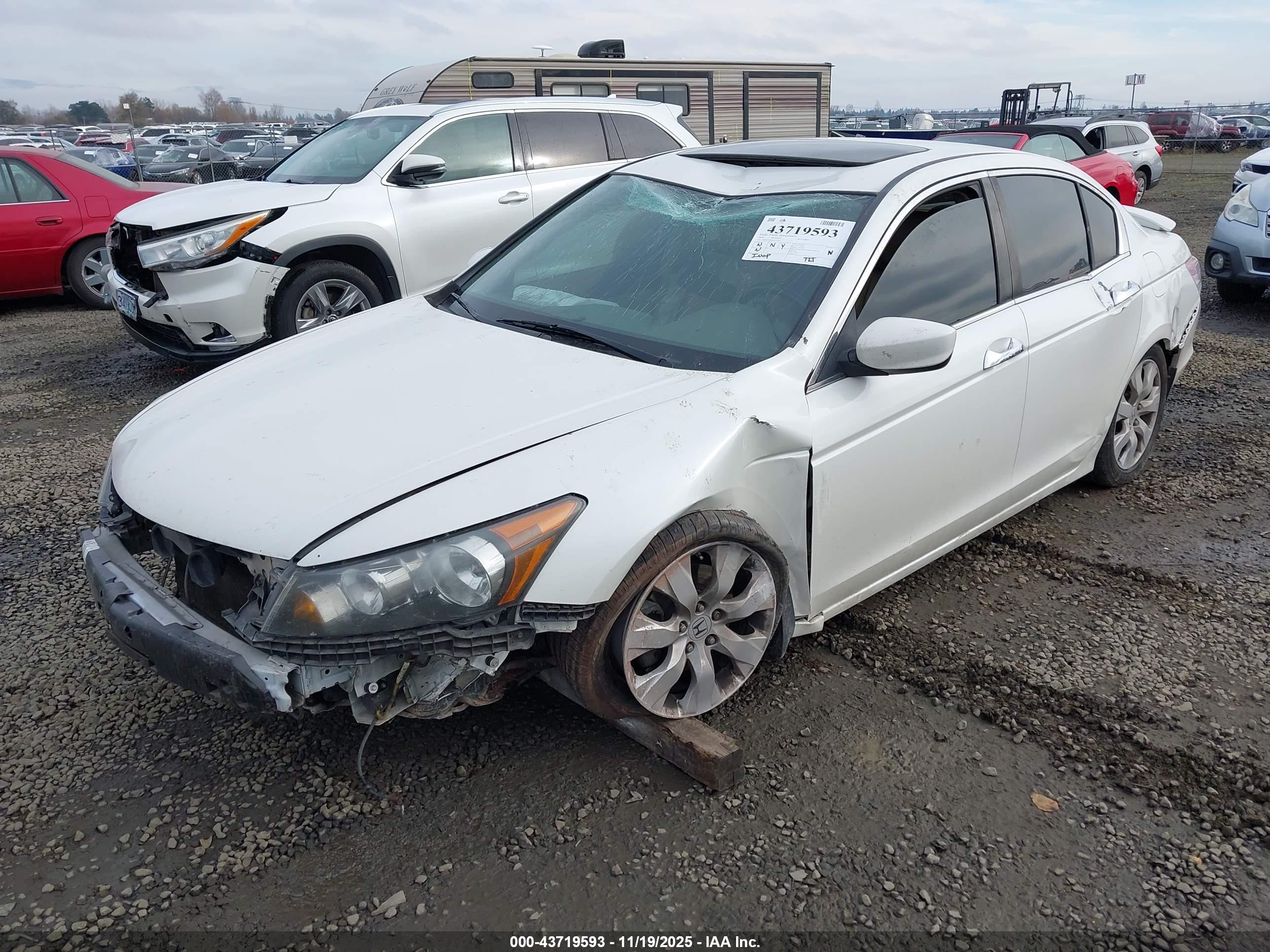 HONDA ACCORD image 6