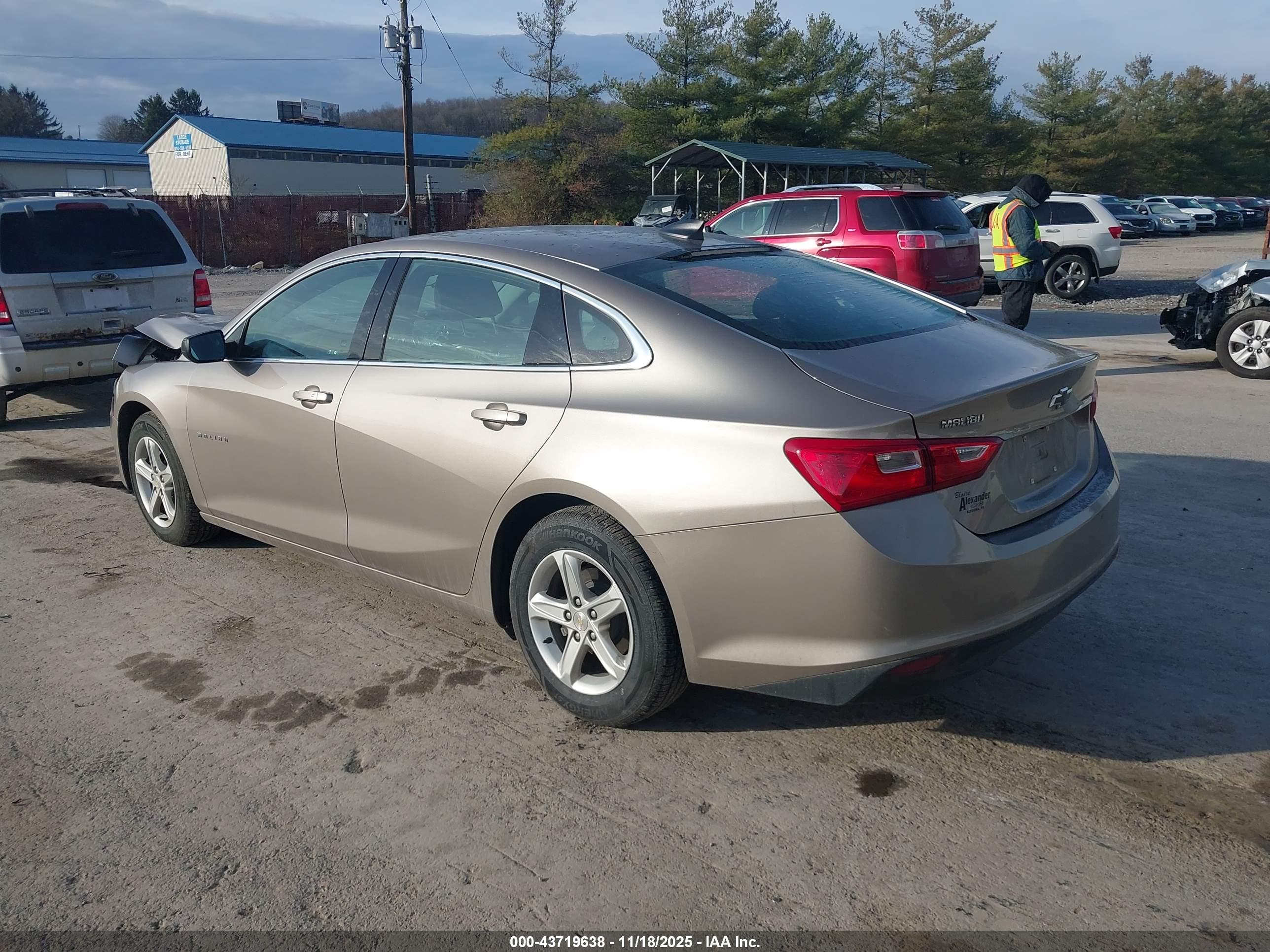 CHEVROLET MALIBU image 3