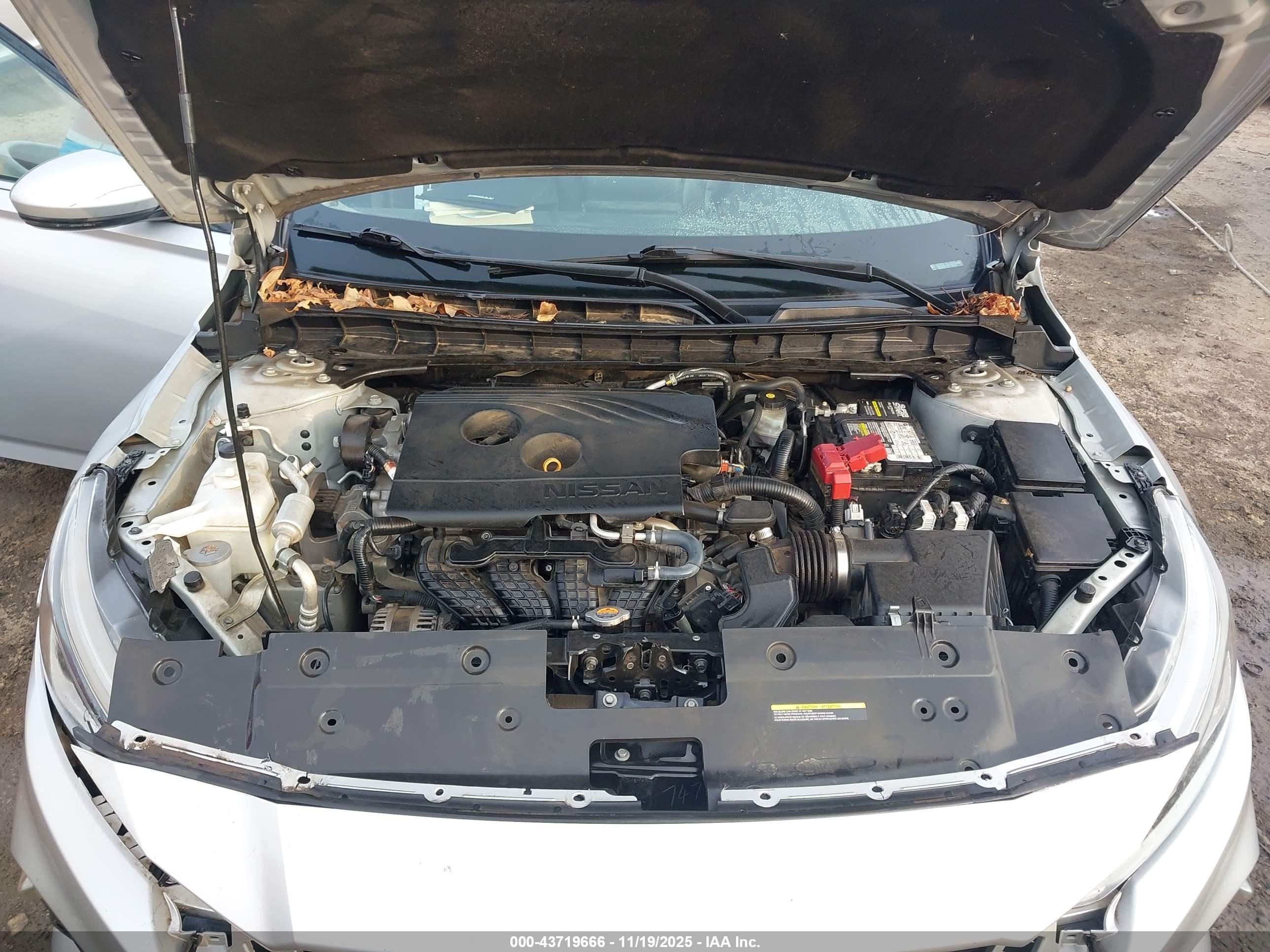 NISSAN ALTIMA image 10
