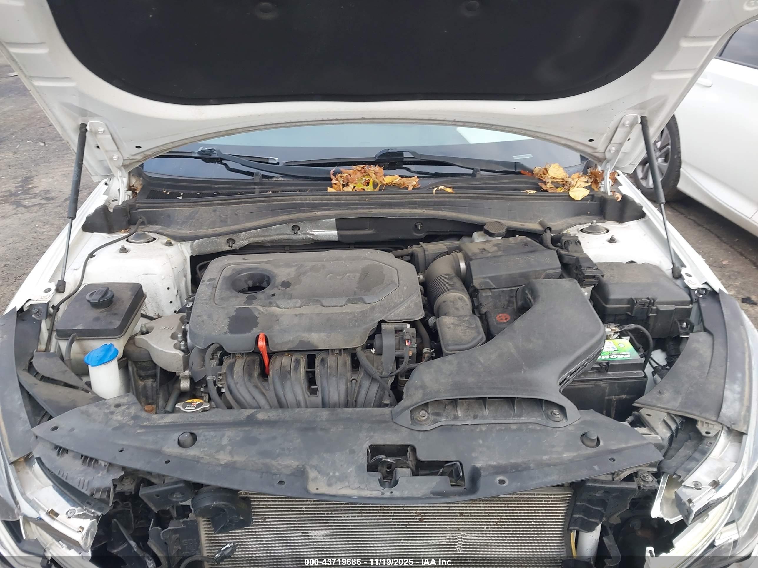 KIA OPTIMA image 10