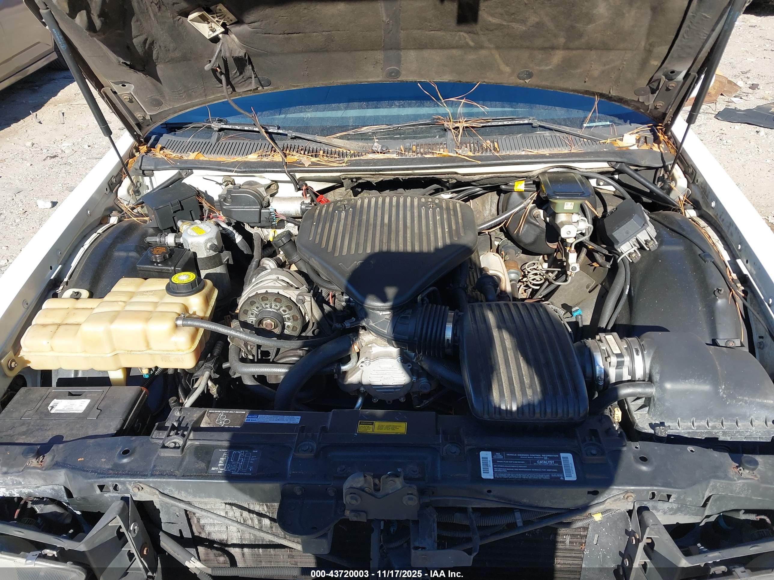 BUICK ROADMASTER image 10