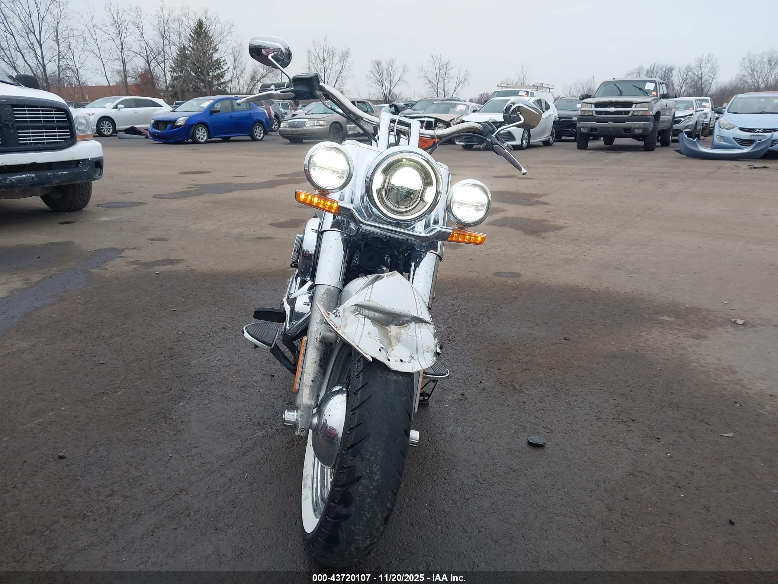 HARLEY-DAVIDSON FLDE image 5
