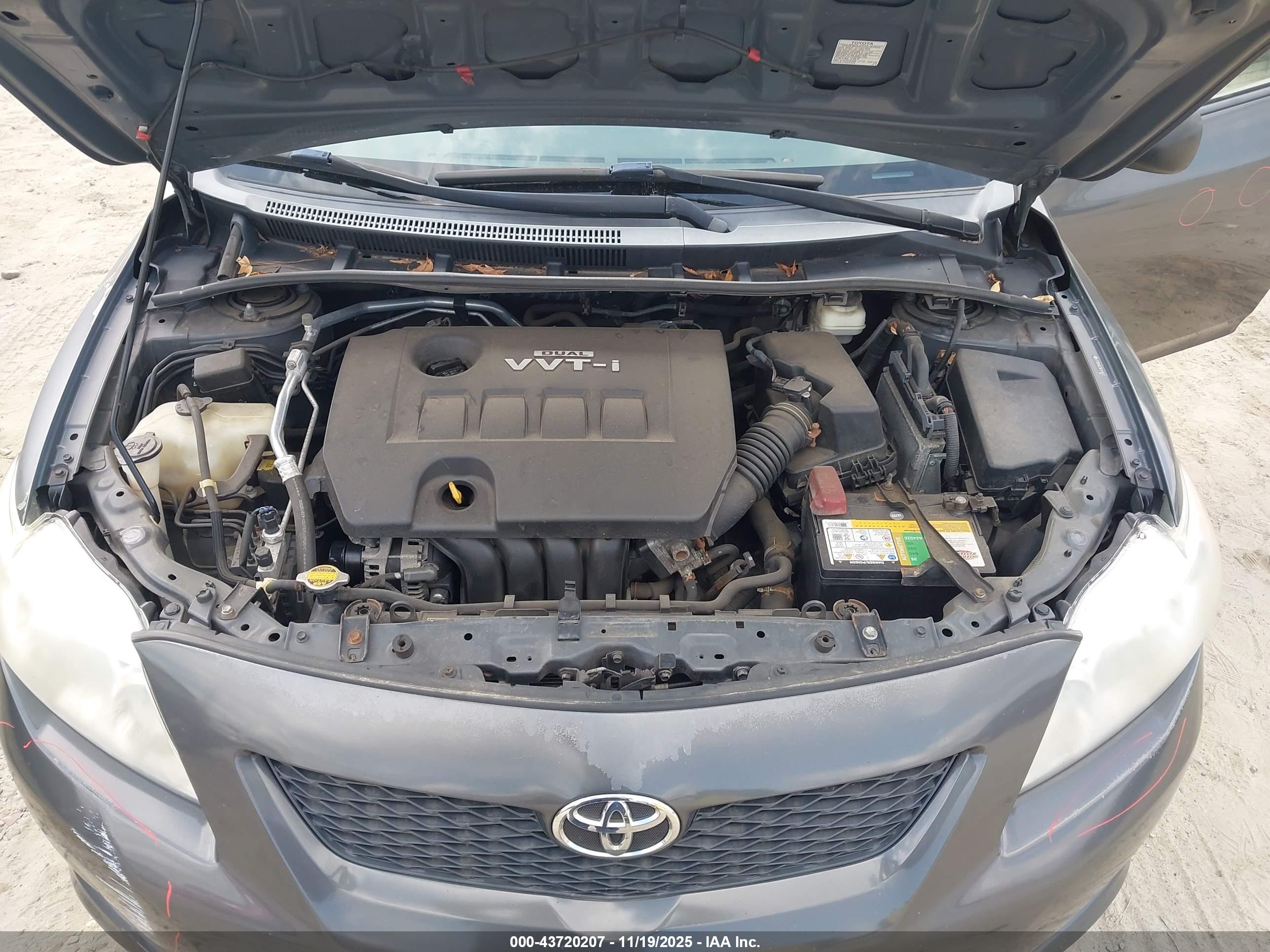 TOYOTA COROLLA image 10
