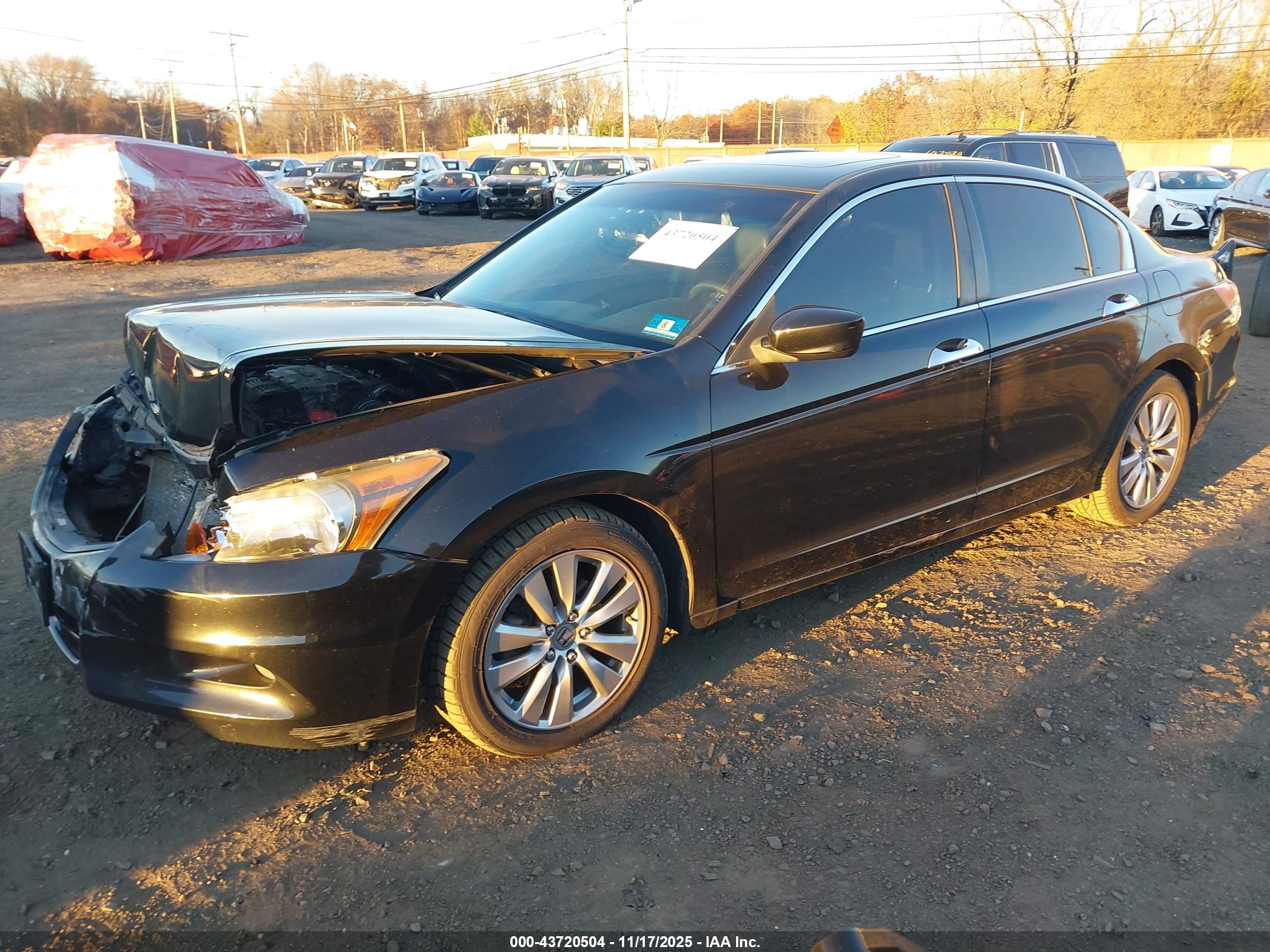 HONDA ACCORD image 6