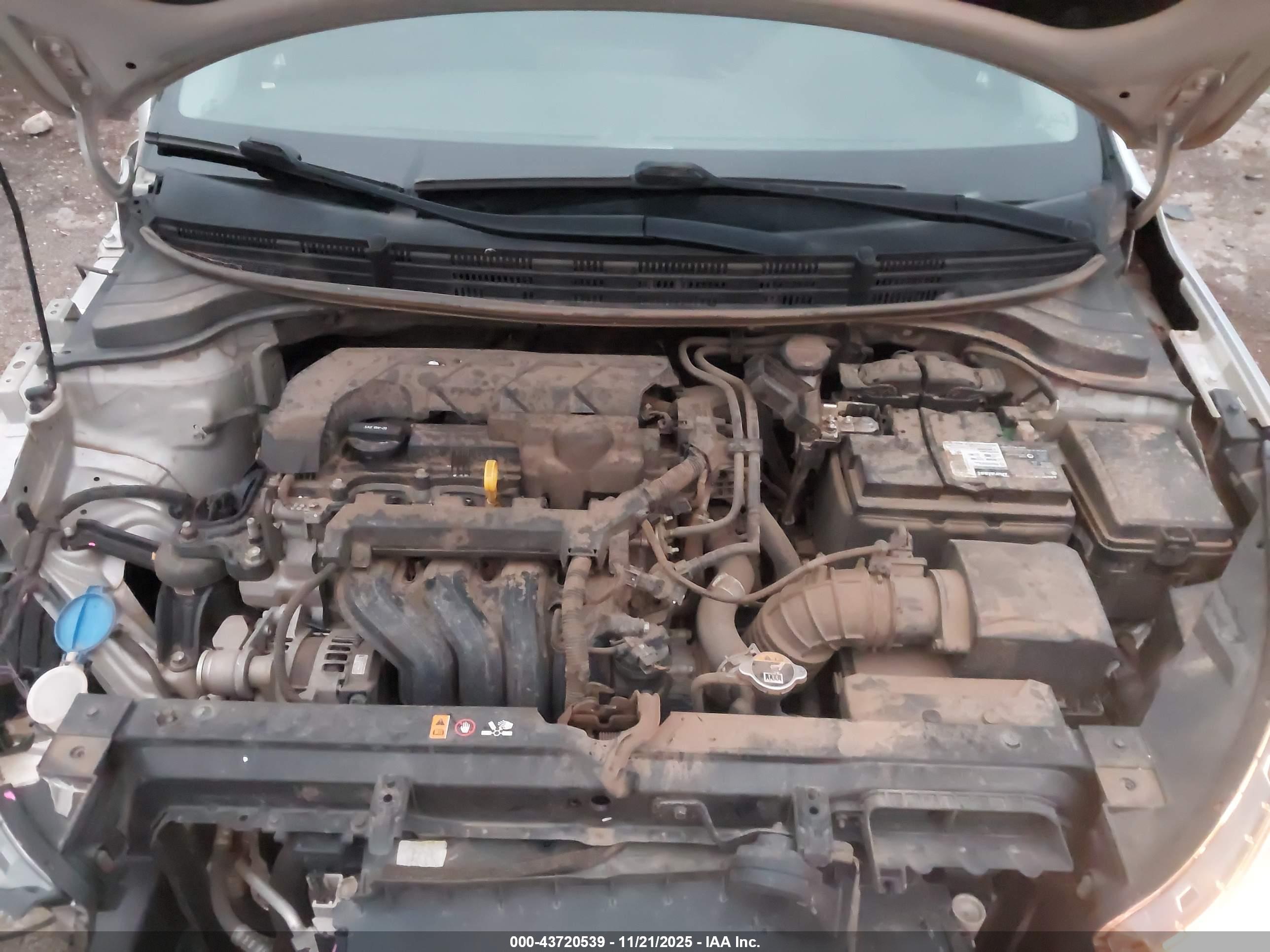 KIA RIO image 10