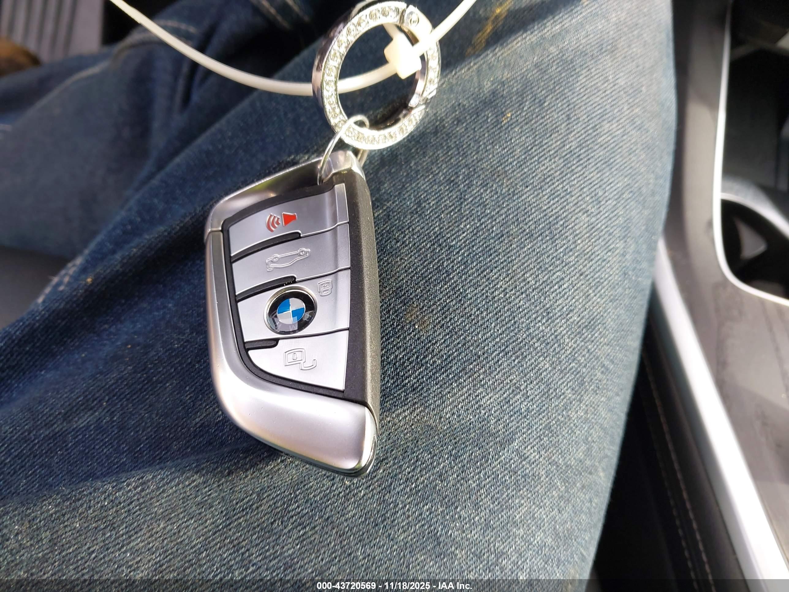 BMW X7 image 11