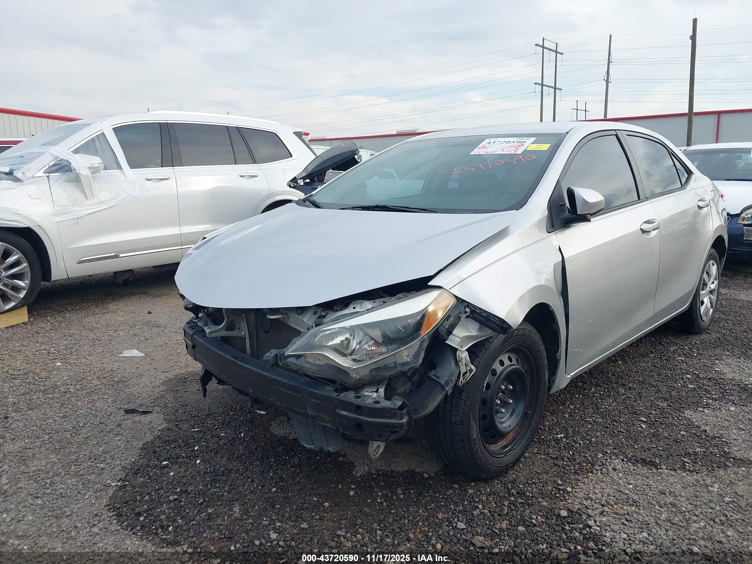 TOYOTA COROLLA image 6