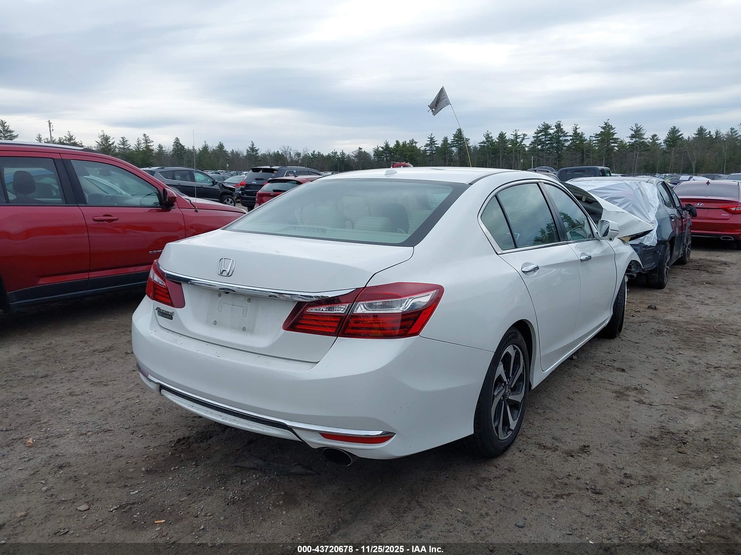 HONDA ACCORD image 4