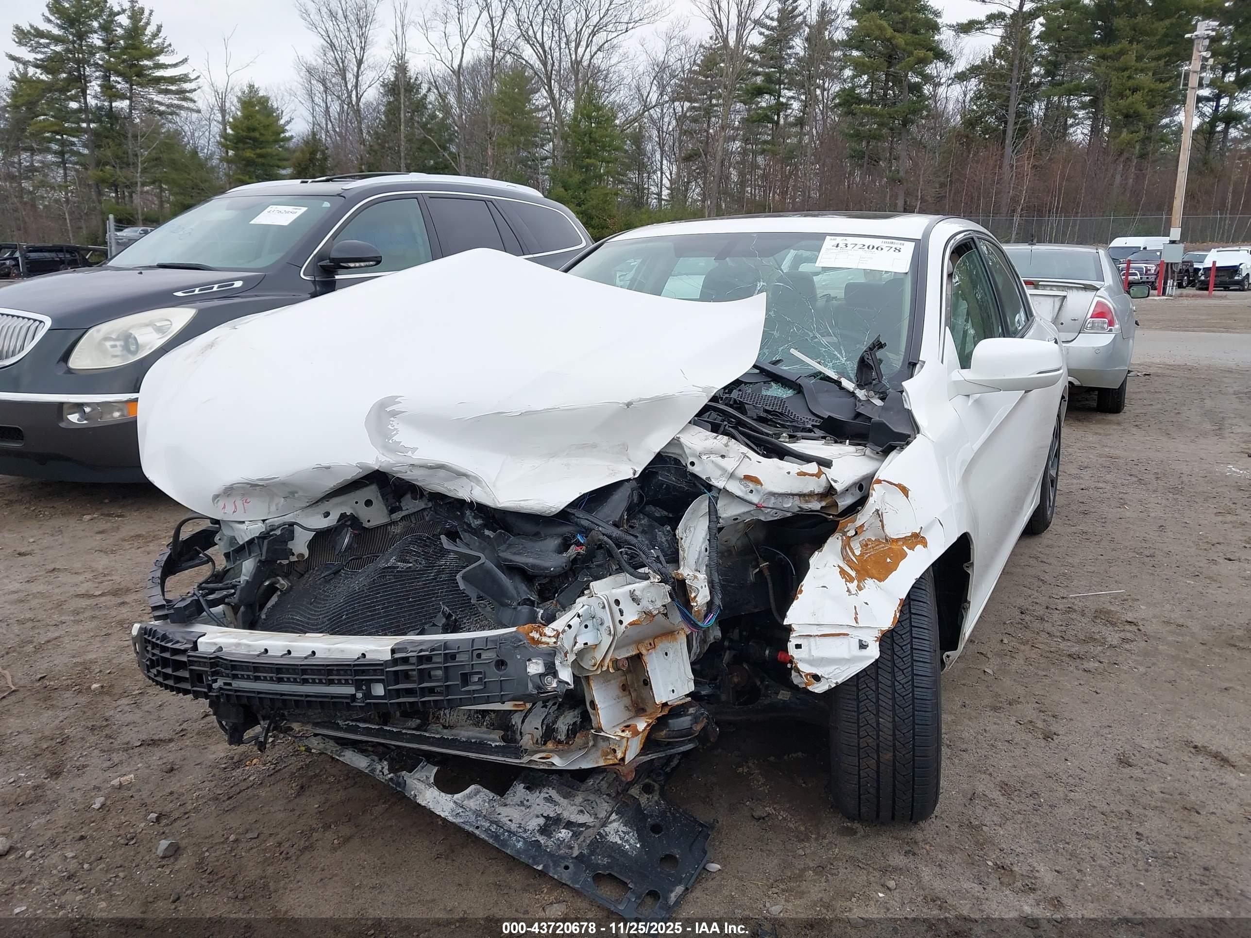 HONDA ACCORD image 6