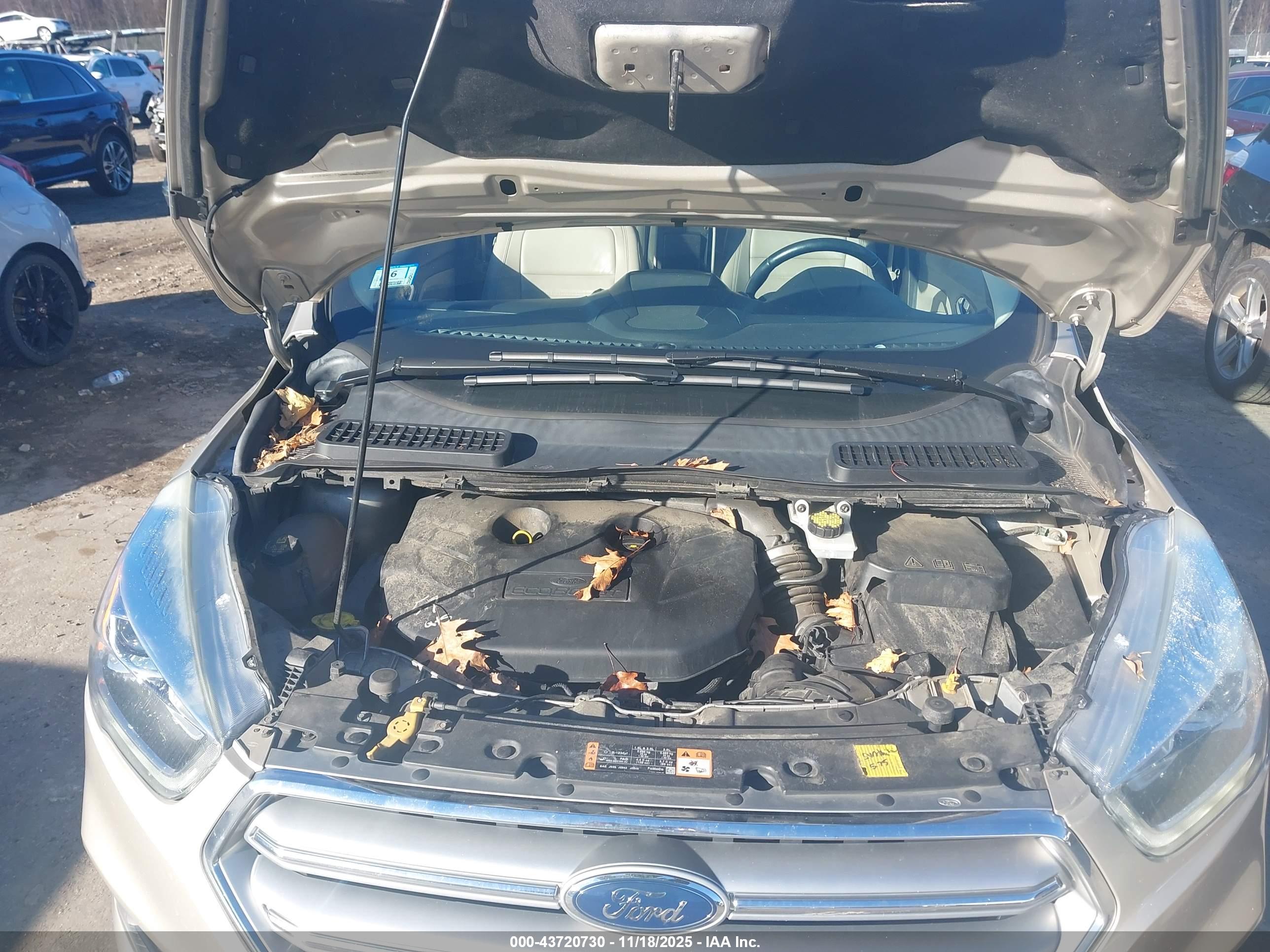 FORD ESCAPE image 10