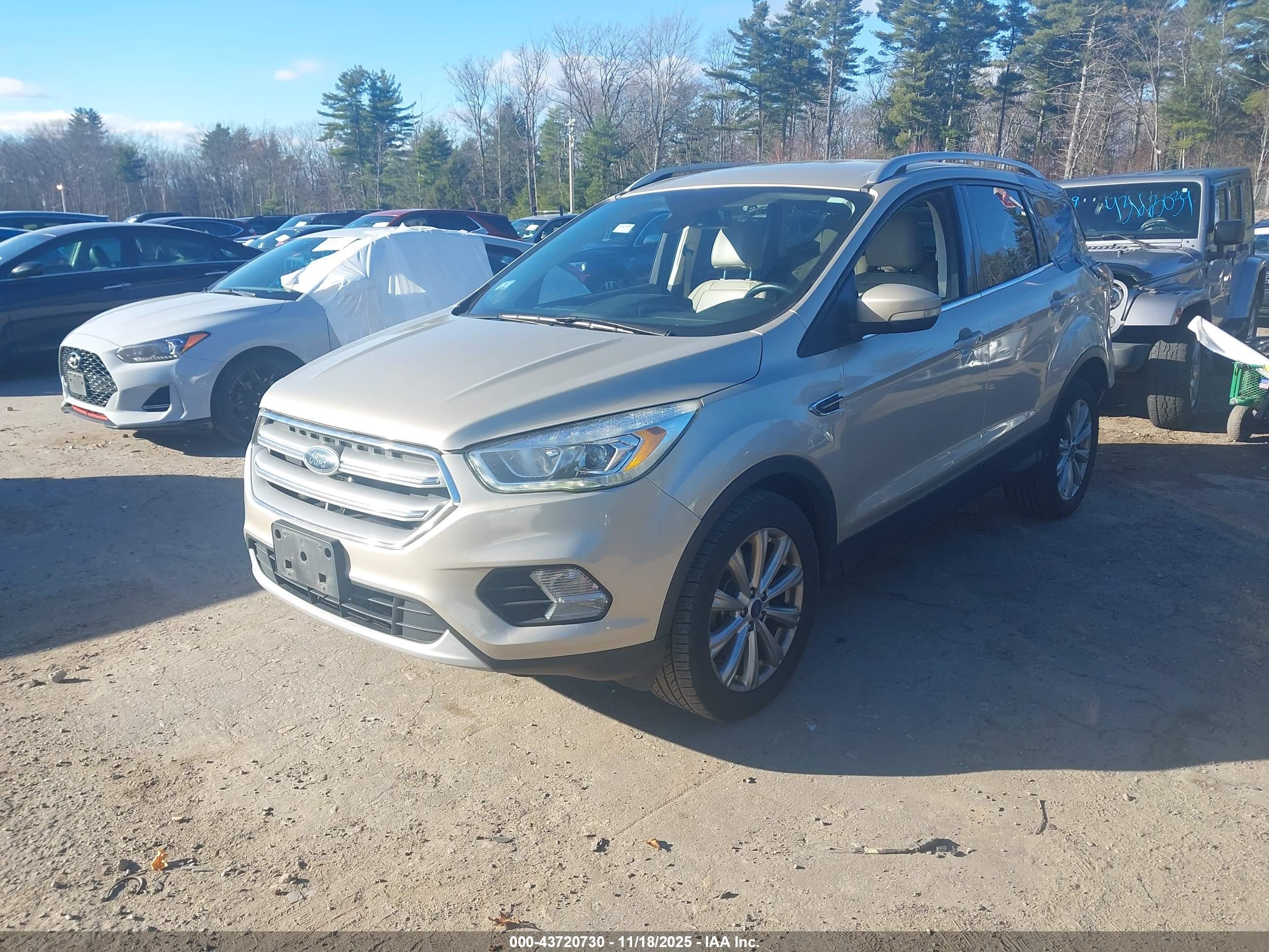FORD ESCAPE image 2
