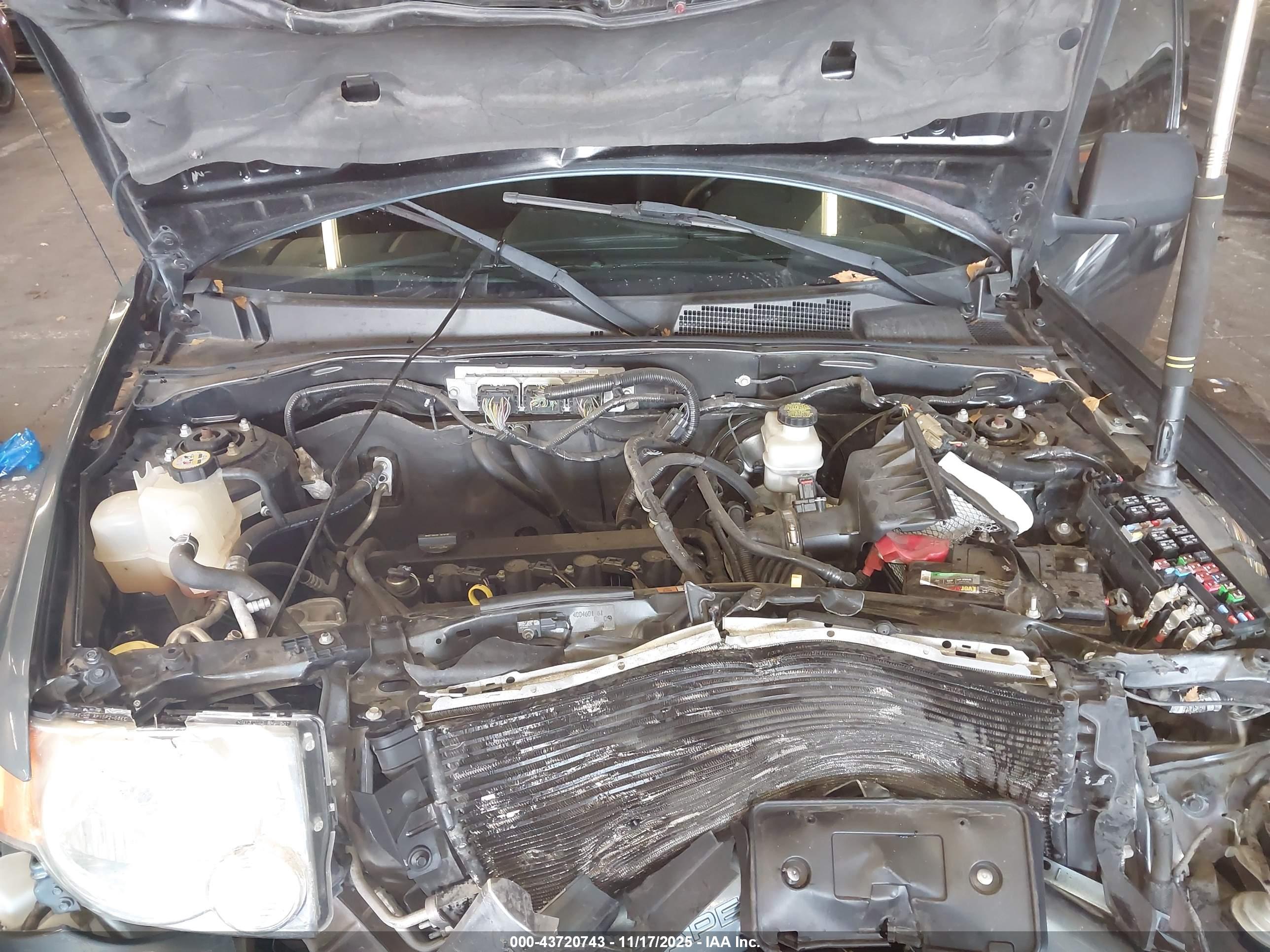 FORD ESCAPE image 10