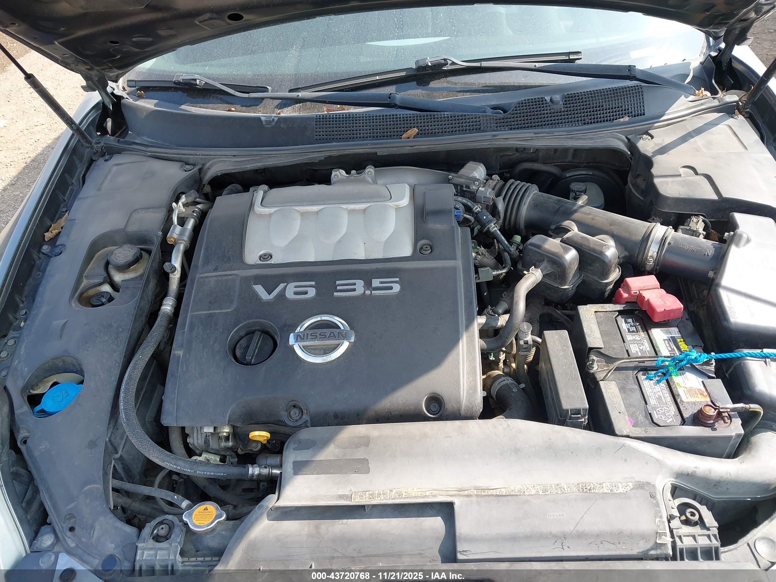 NISSAN MAXIMA image 10