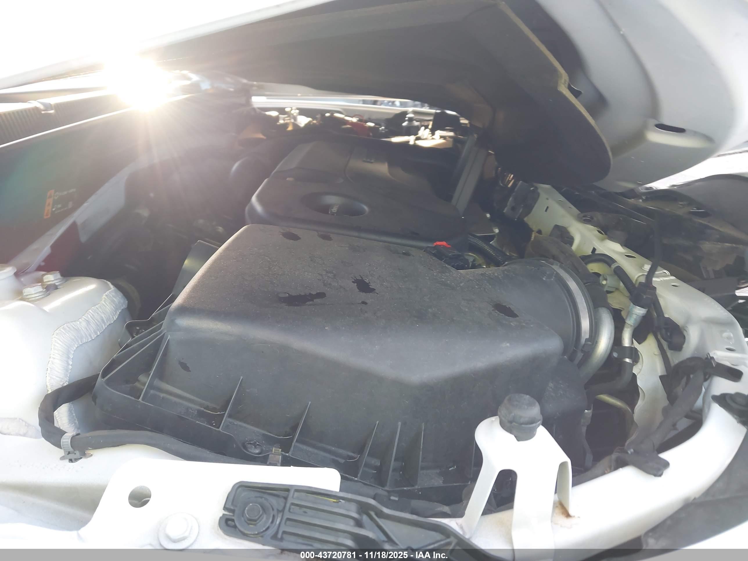 CHEVROLET MALIBU image 10