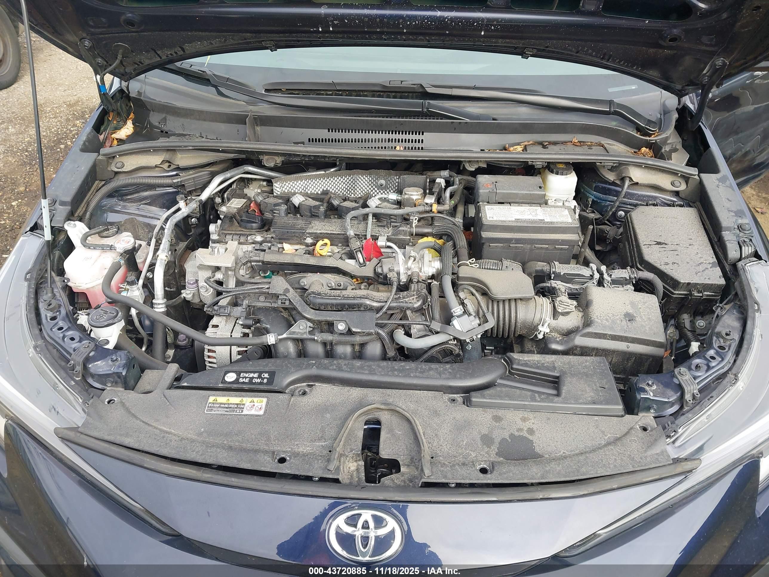 TOYOTA COROLLA image 10