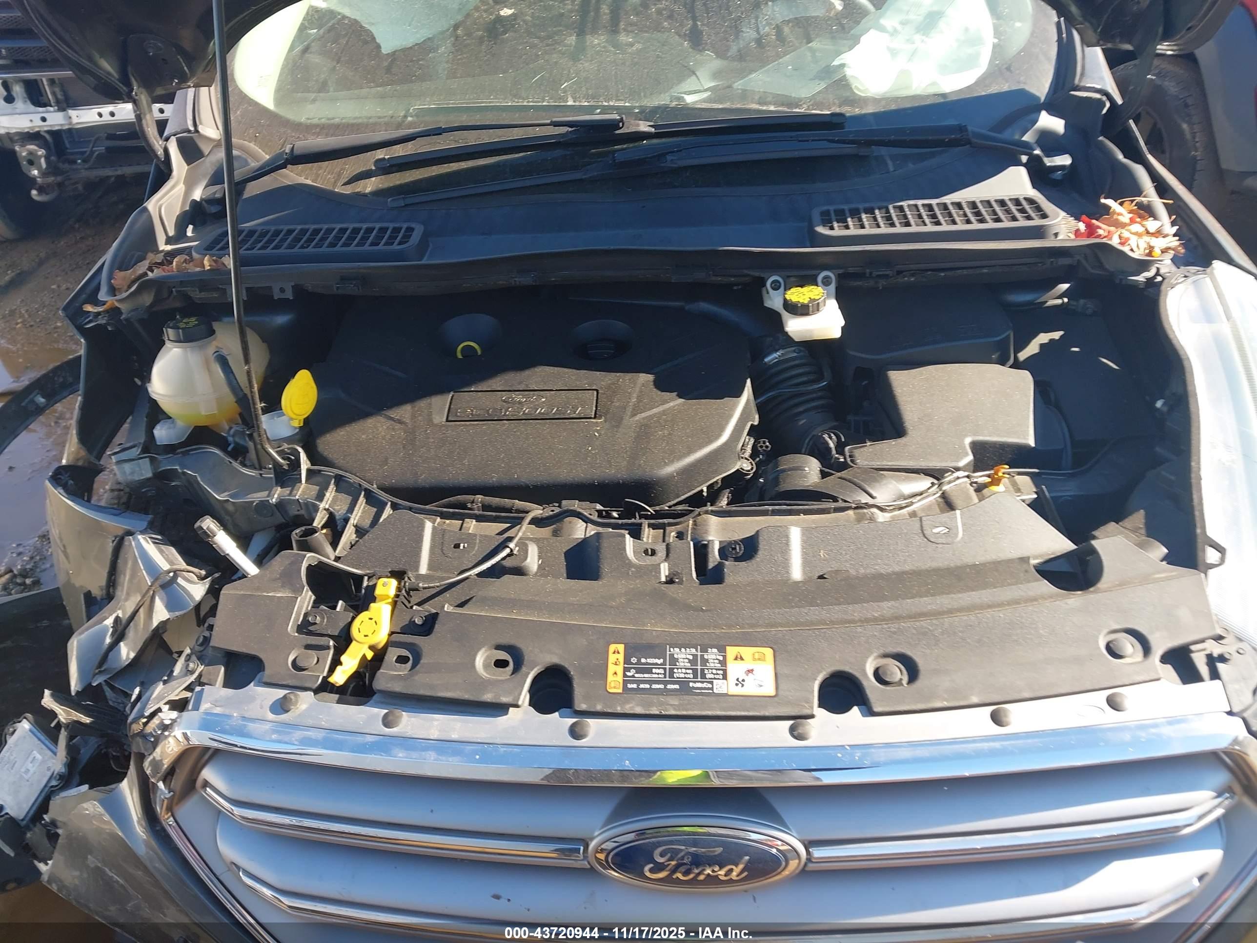 FORD ESCAPE image 10