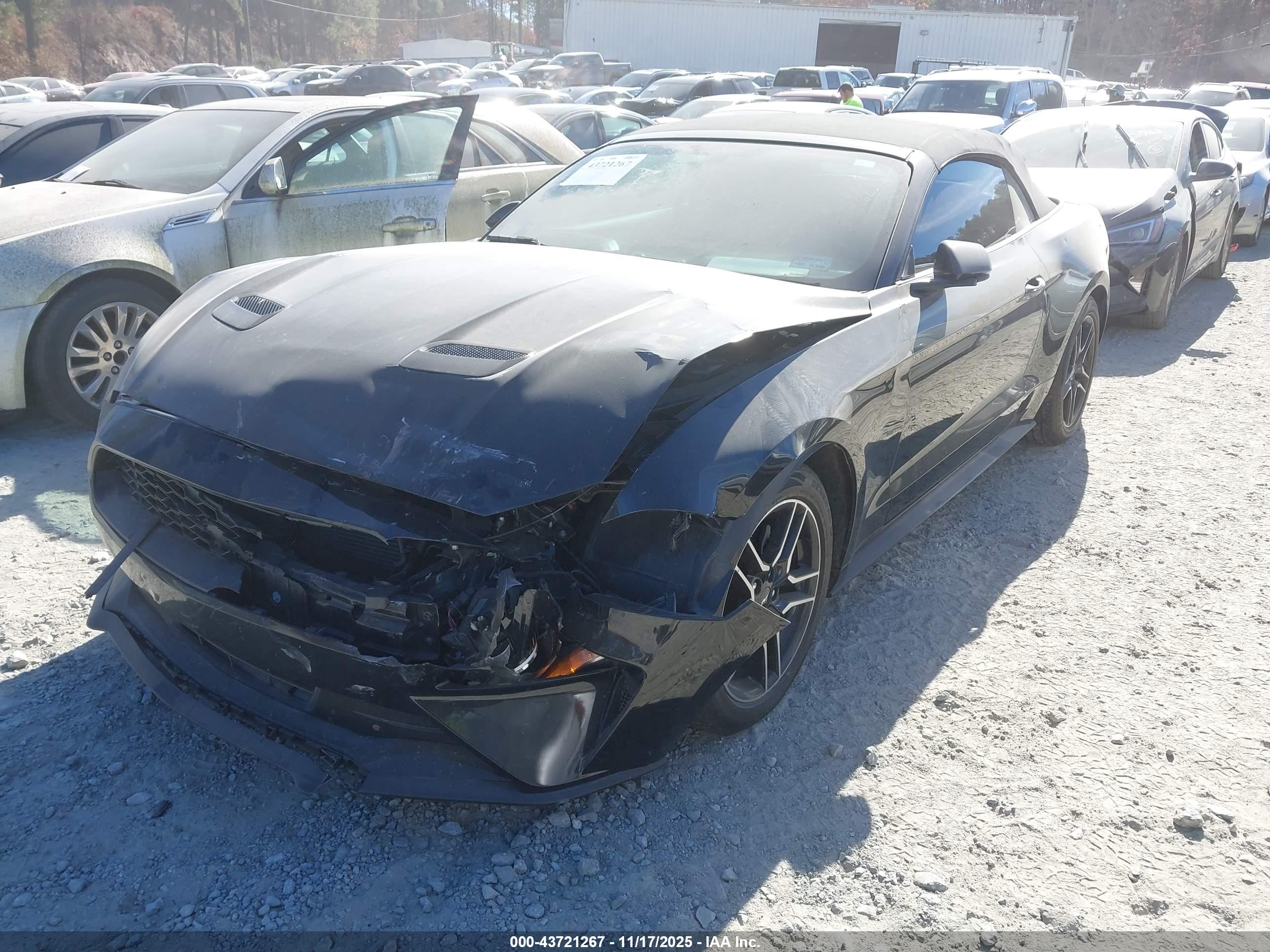 FORD MUSTANG image 2