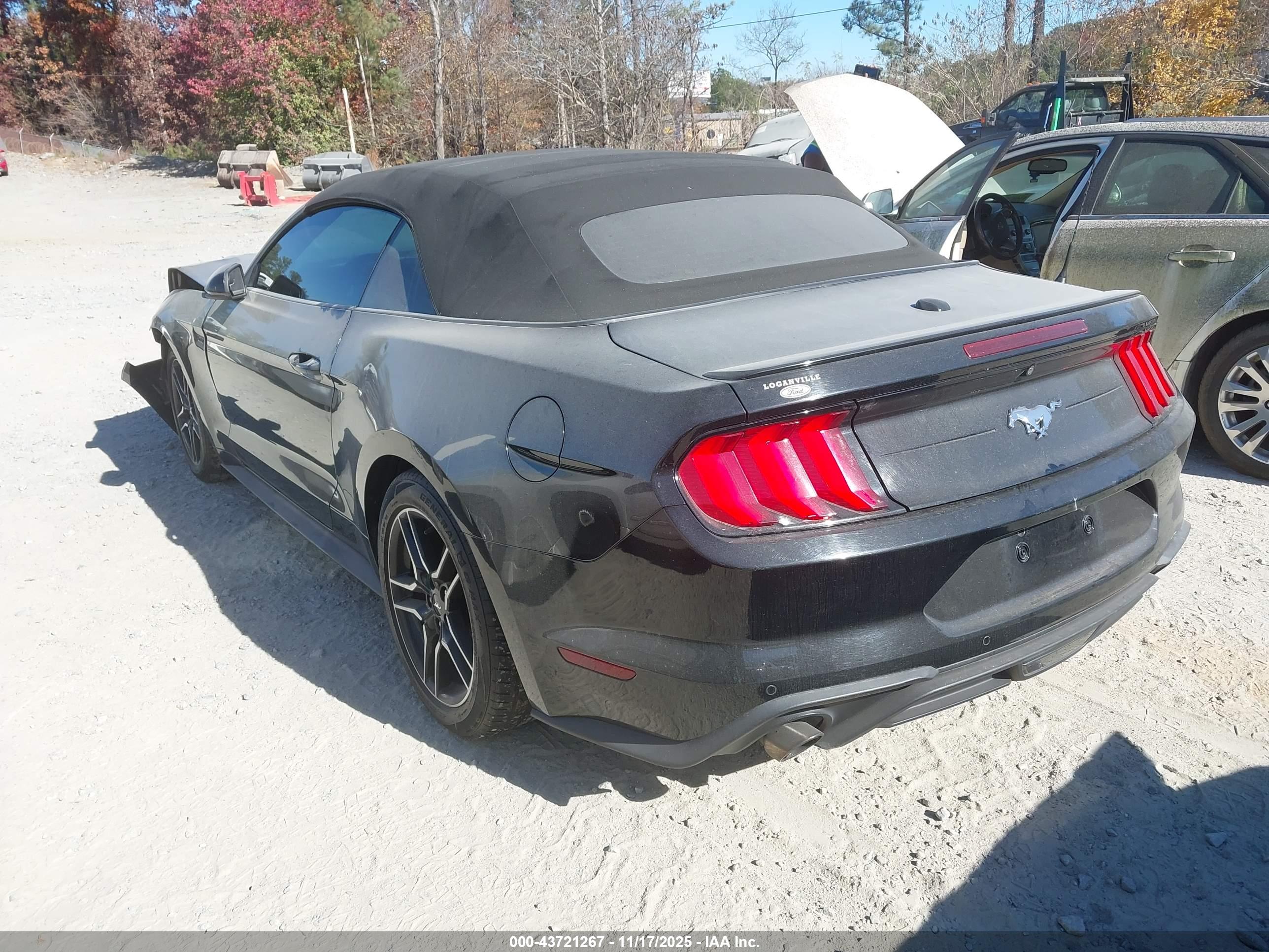FORD MUSTANG image 3
