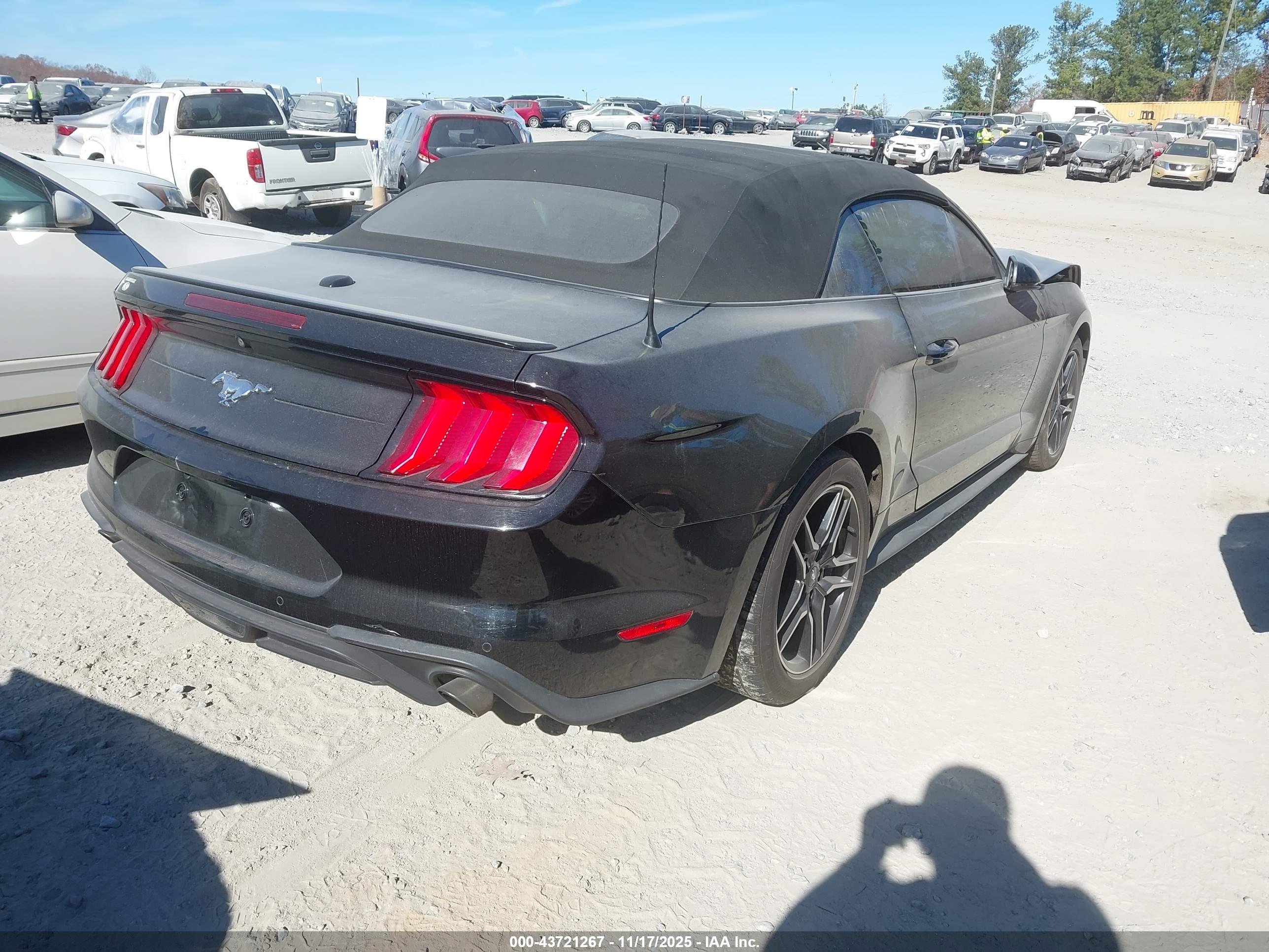 FORD MUSTANG image 4