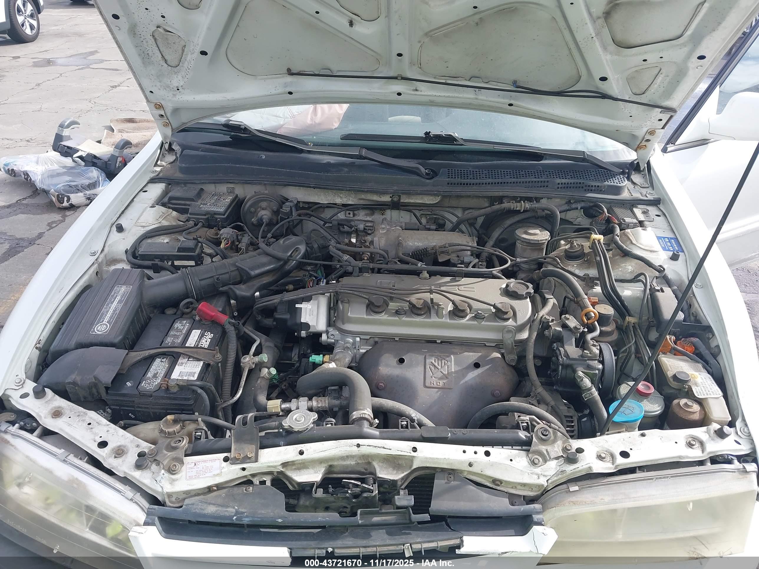 HONDA ACCORD image 10