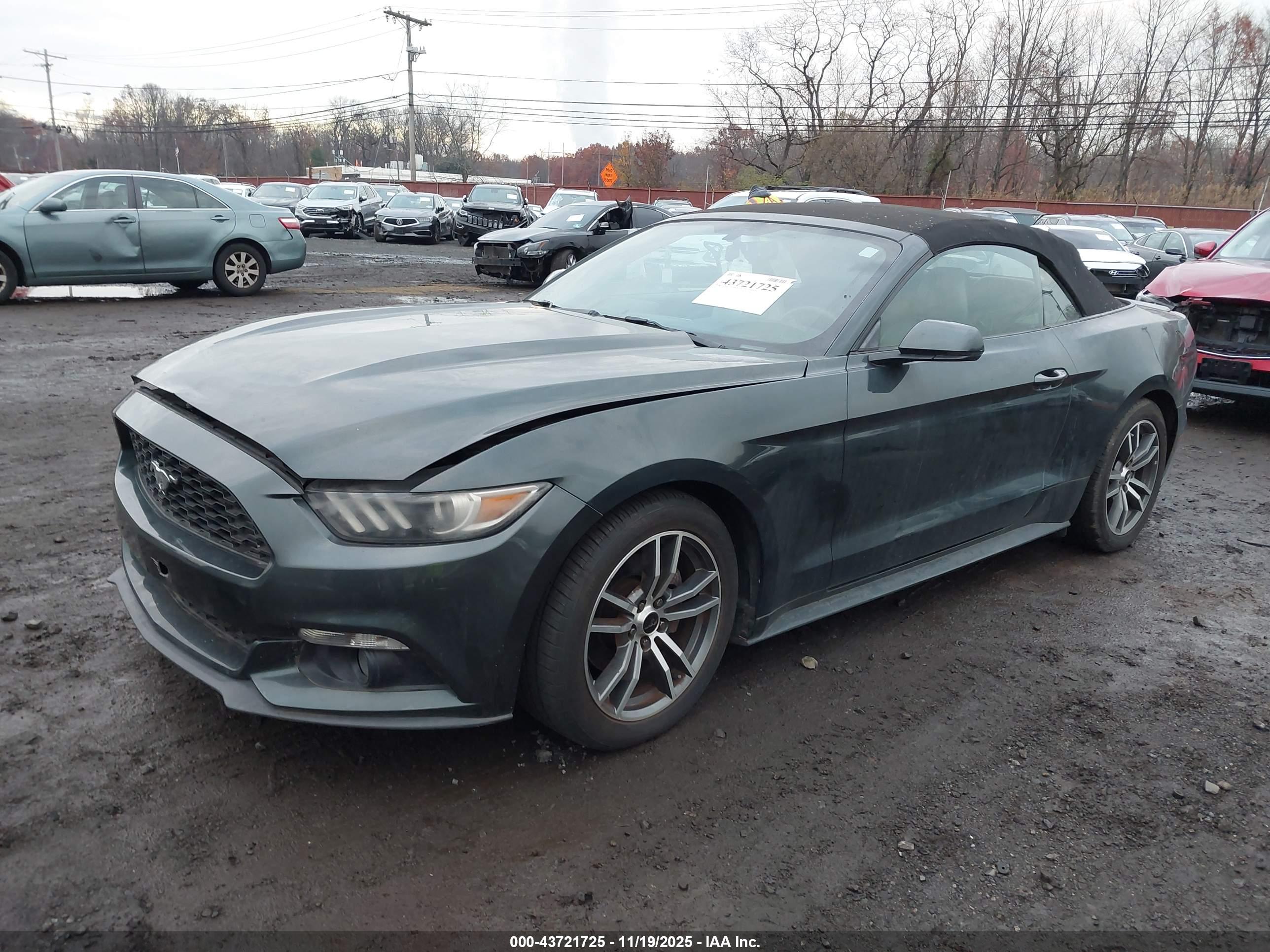 FORD MUSTANG image 2