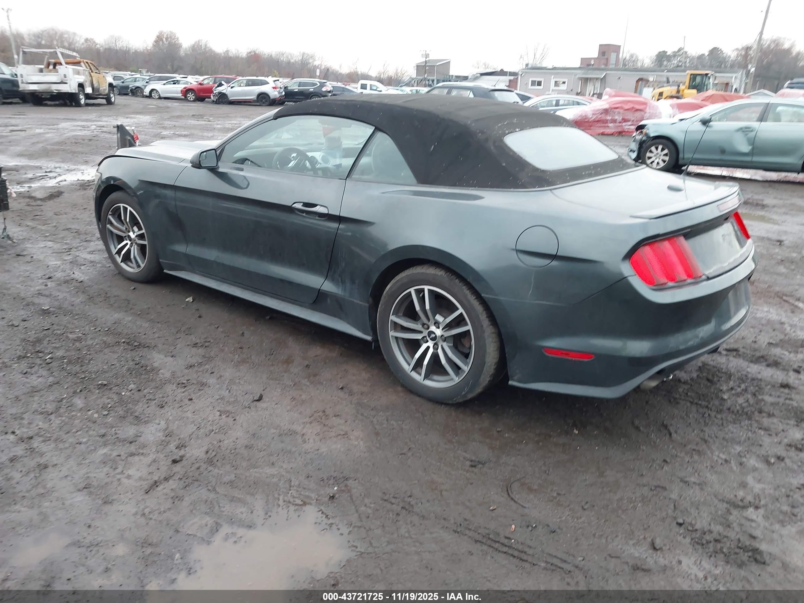 FORD MUSTANG image 3