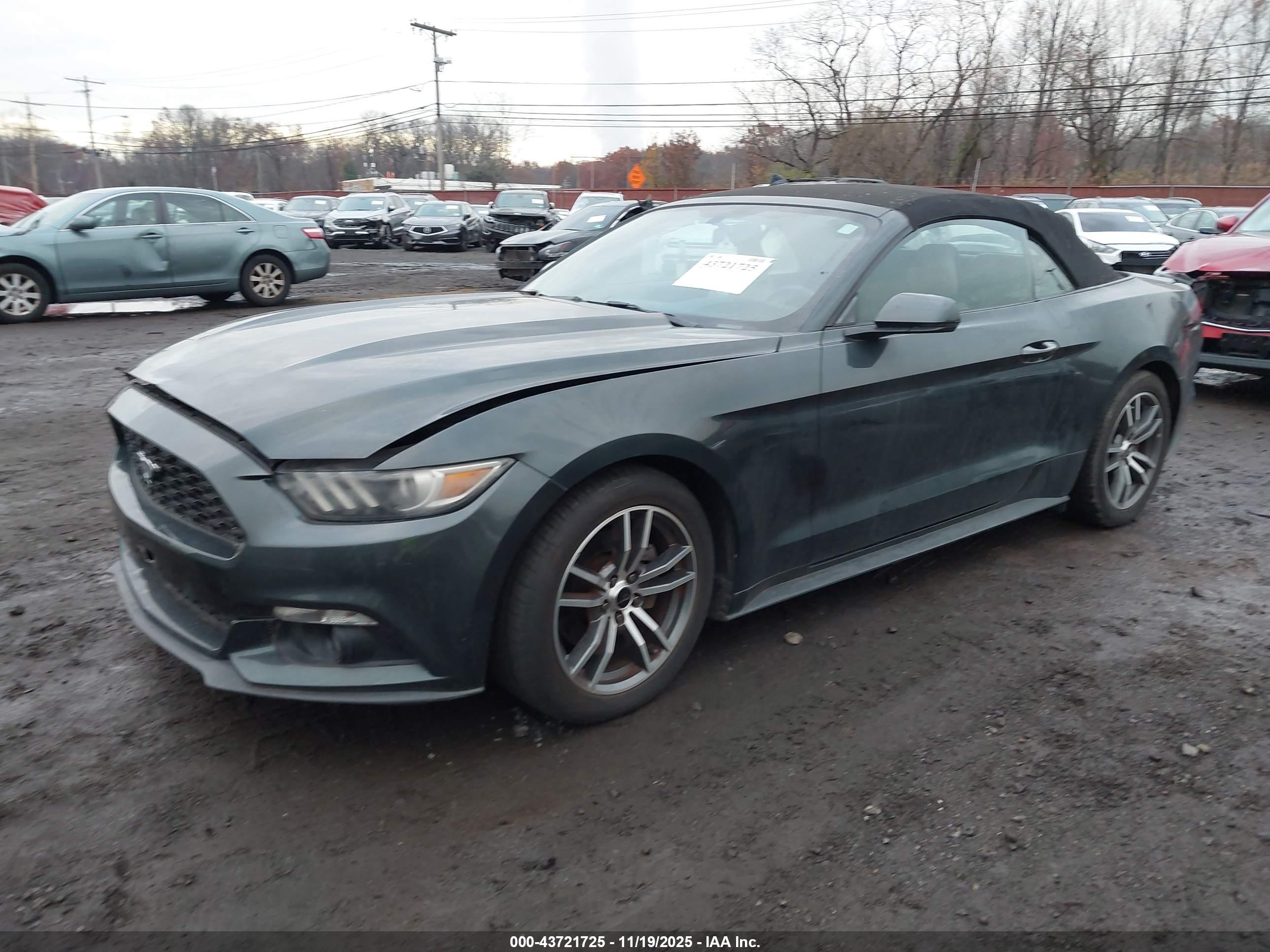 FORD MUSTANG image 6