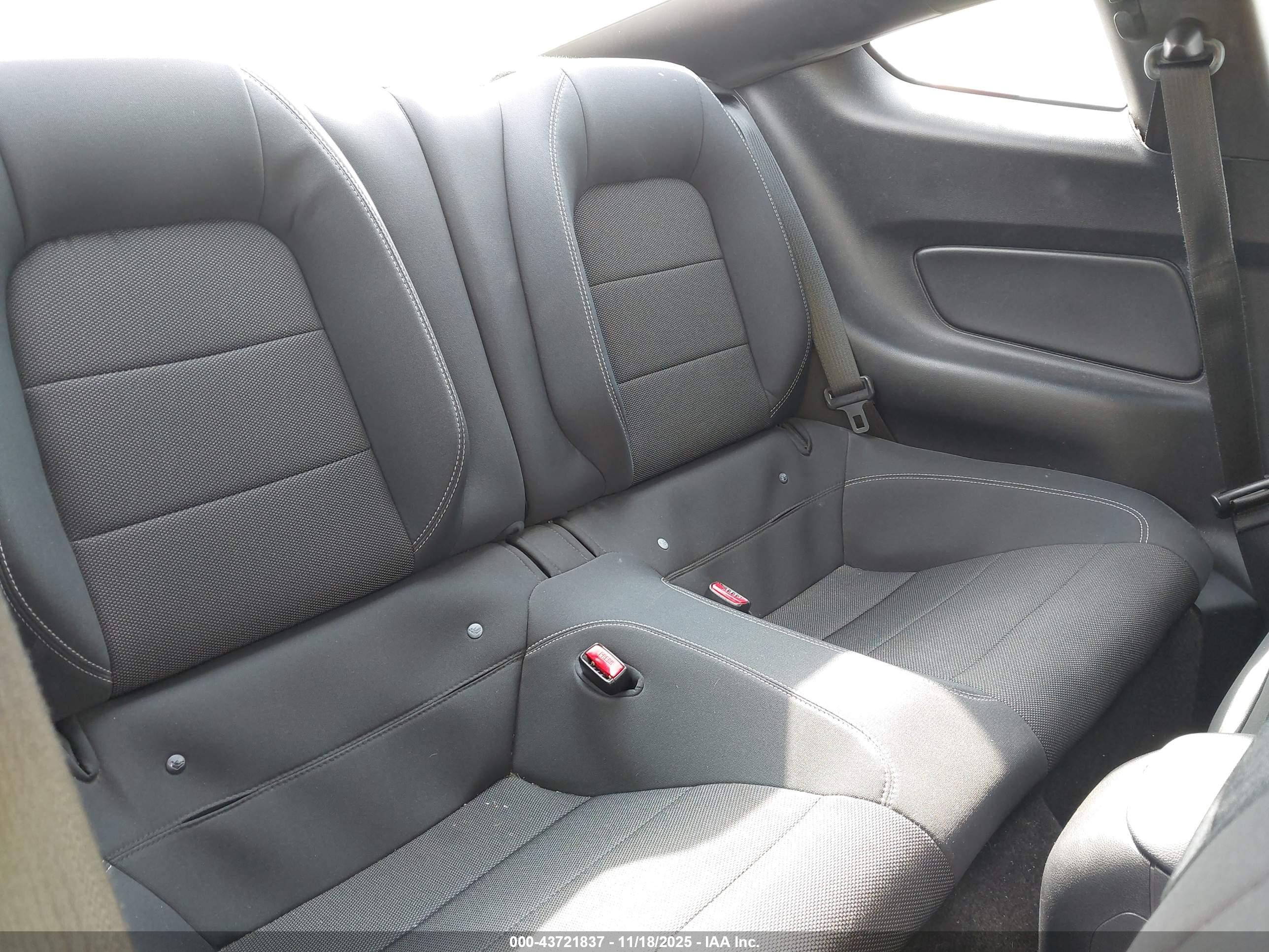 FORD MUSTANG image 8
