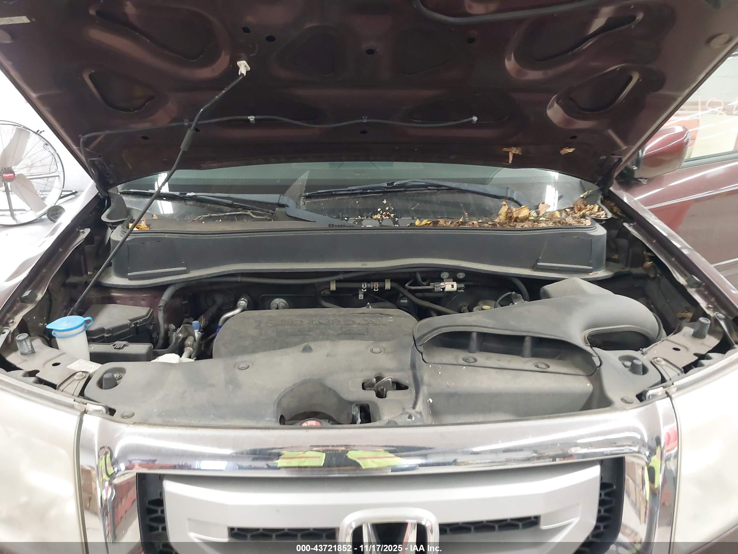 HONDA PILOT image 10