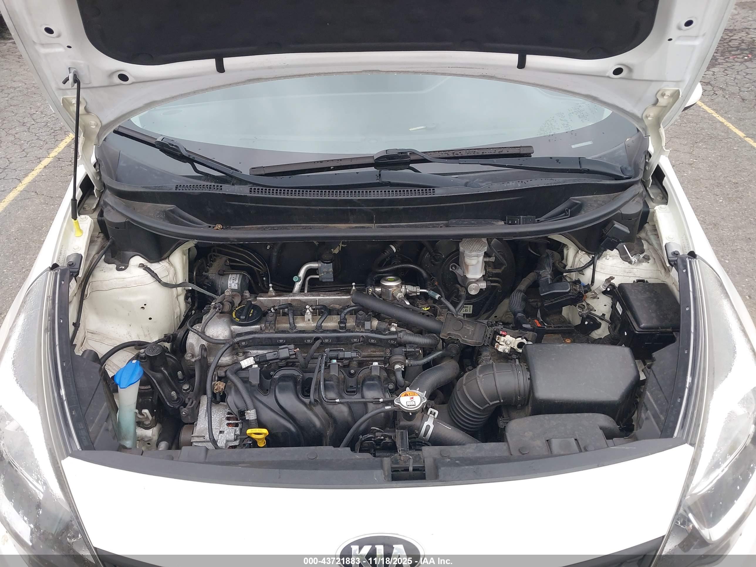 KIA RIO image 10