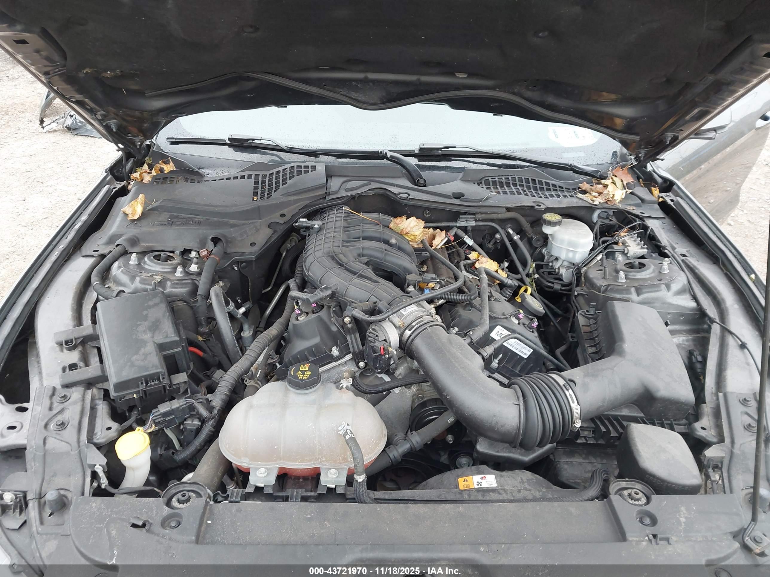 FORD MUSTANG image 10