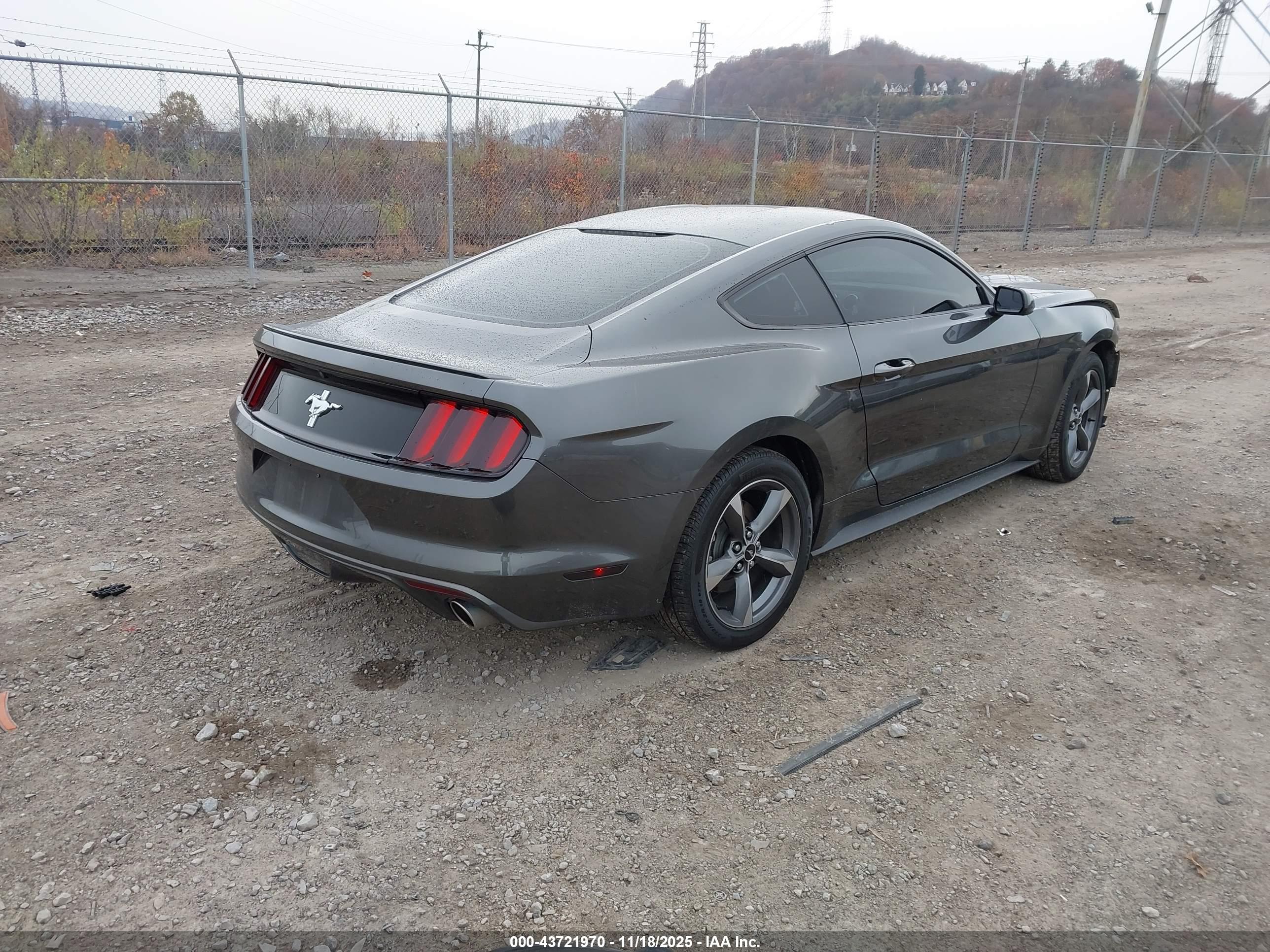 FORD MUSTANG image 4