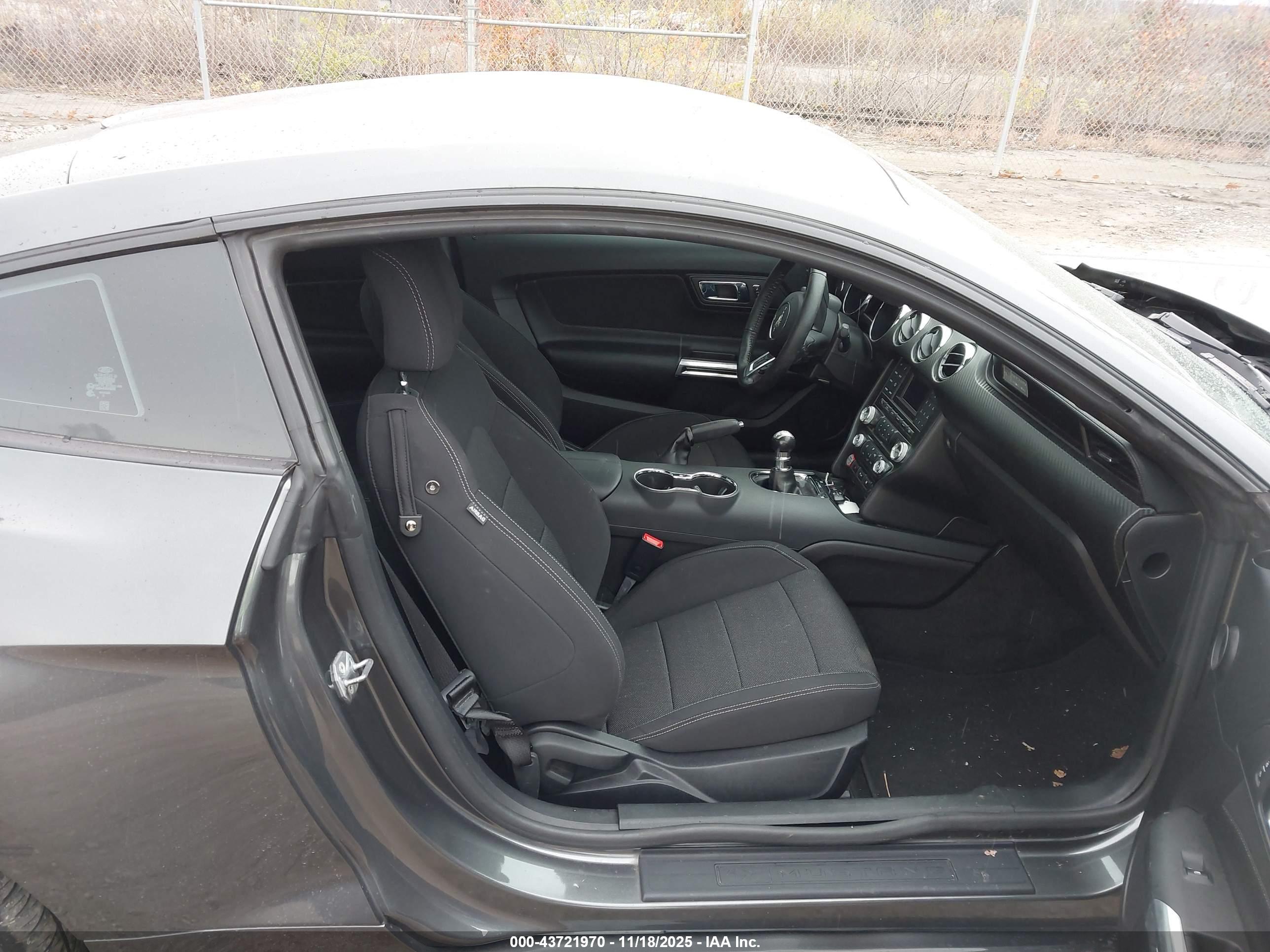 FORD MUSTANG image 5