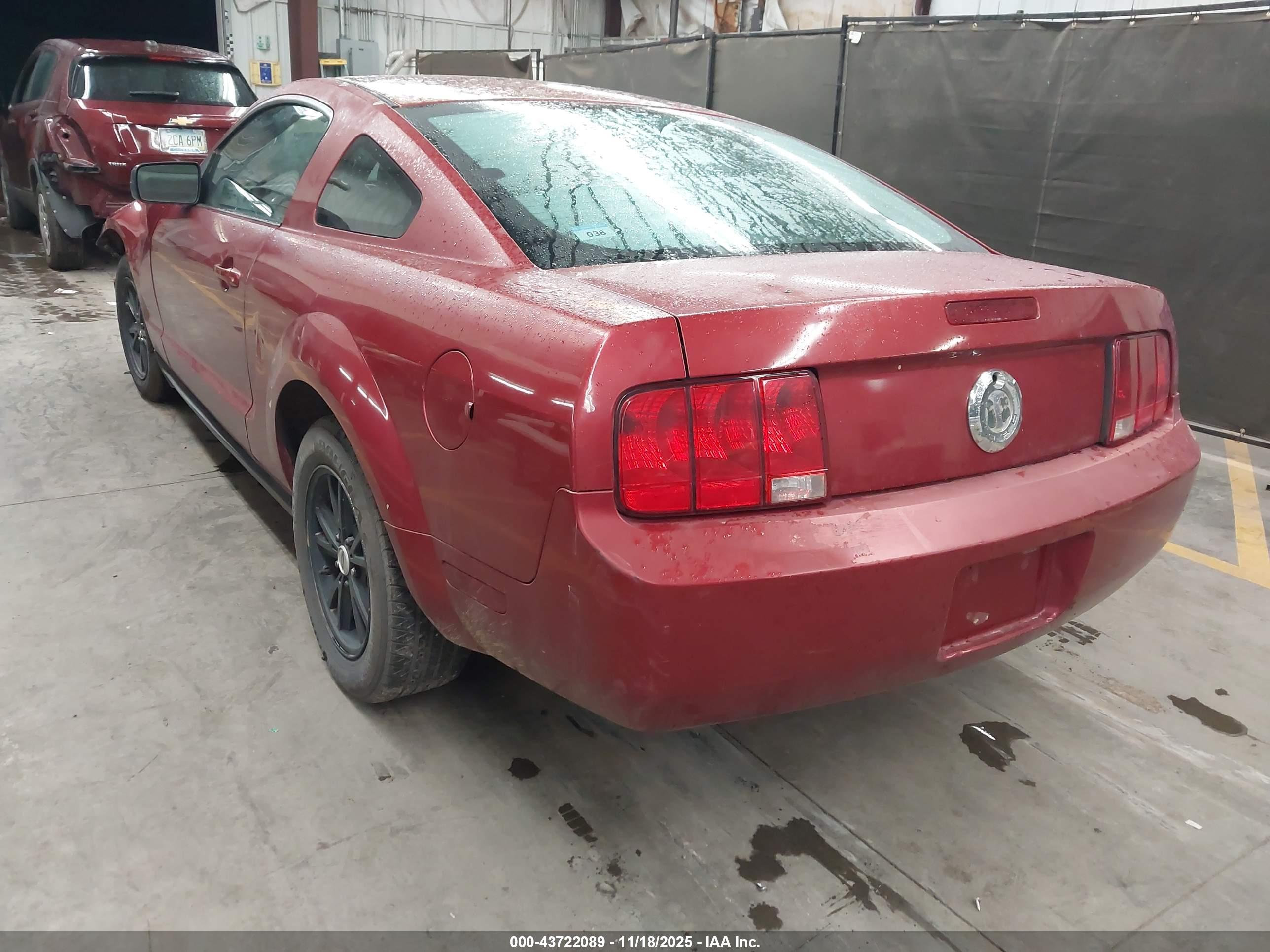 FORD MUSTANG image 3