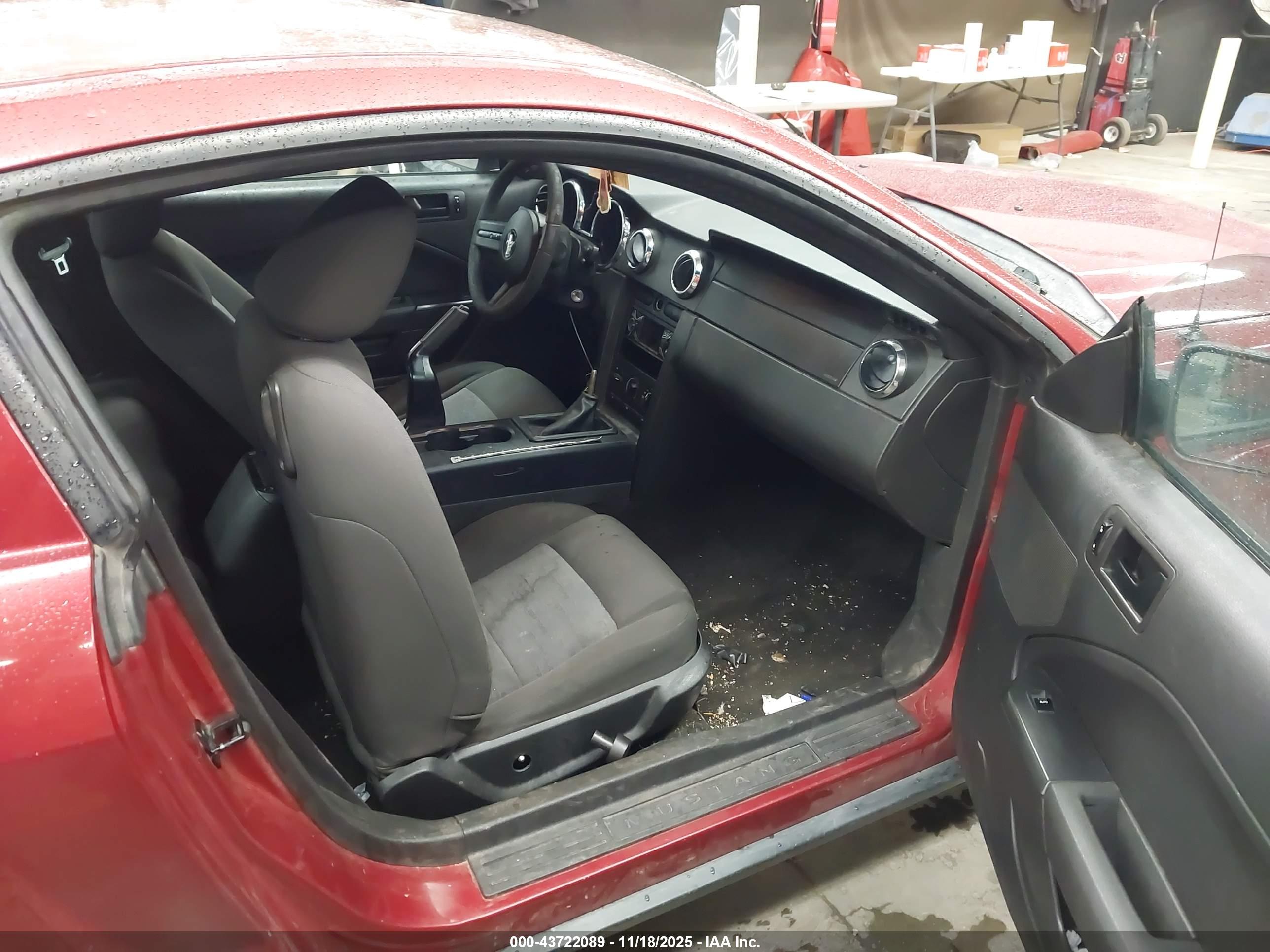 FORD MUSTANG image 5