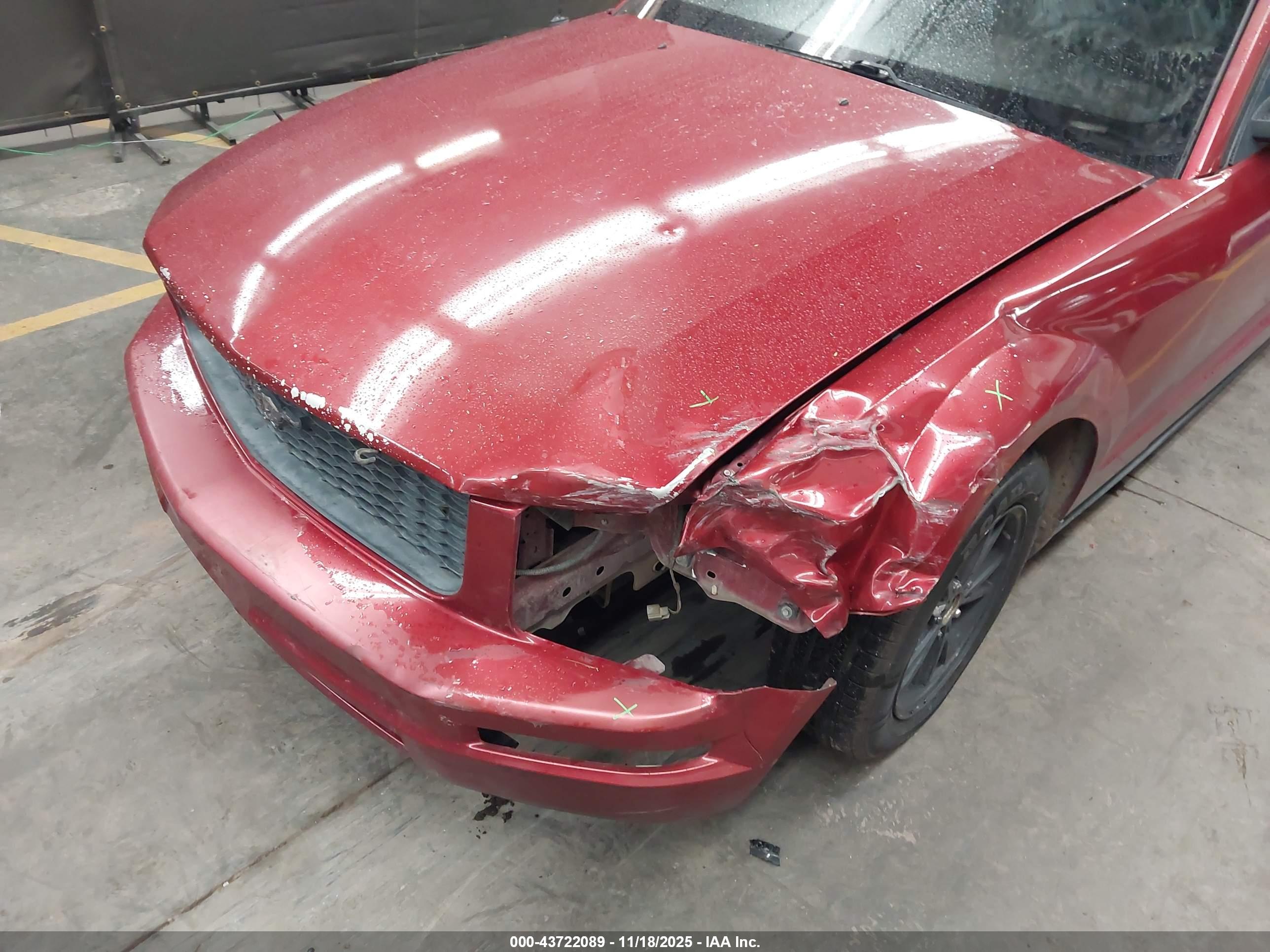 FORD MUSTANG image 6