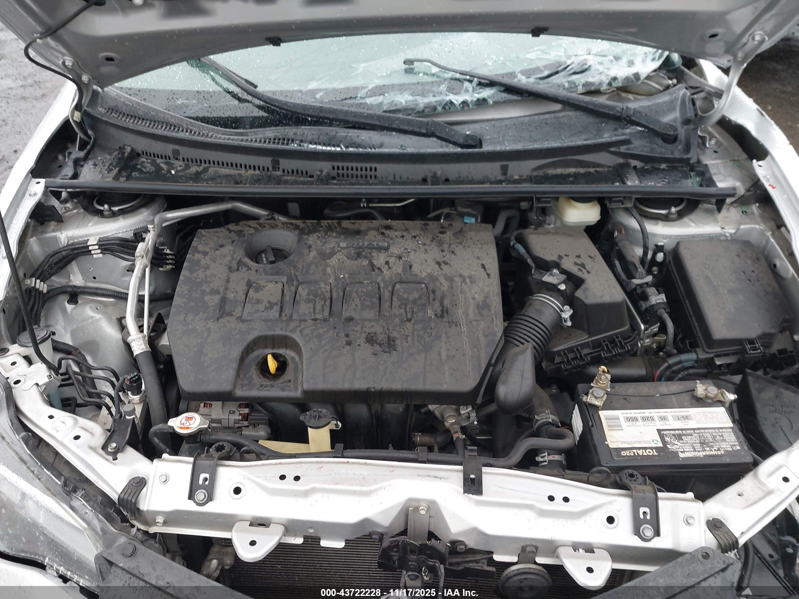 TOYOTA COROLLA image 10