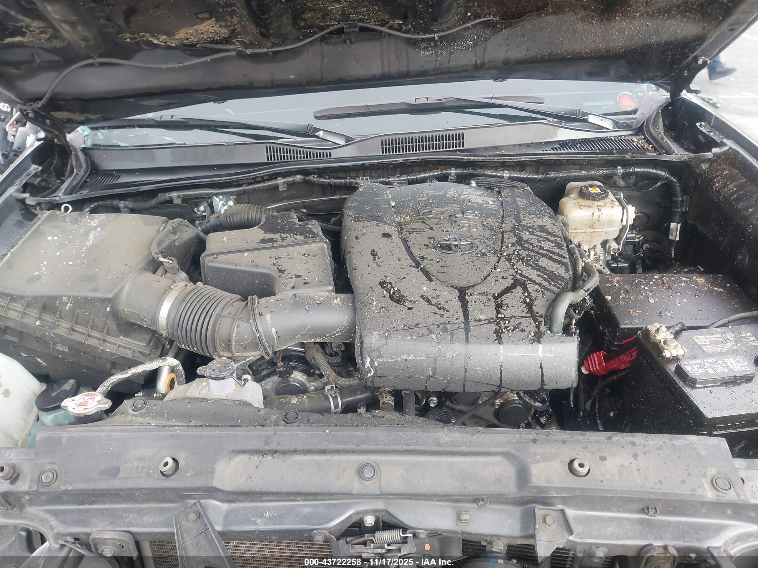 TOYOTA TACOMA image 10