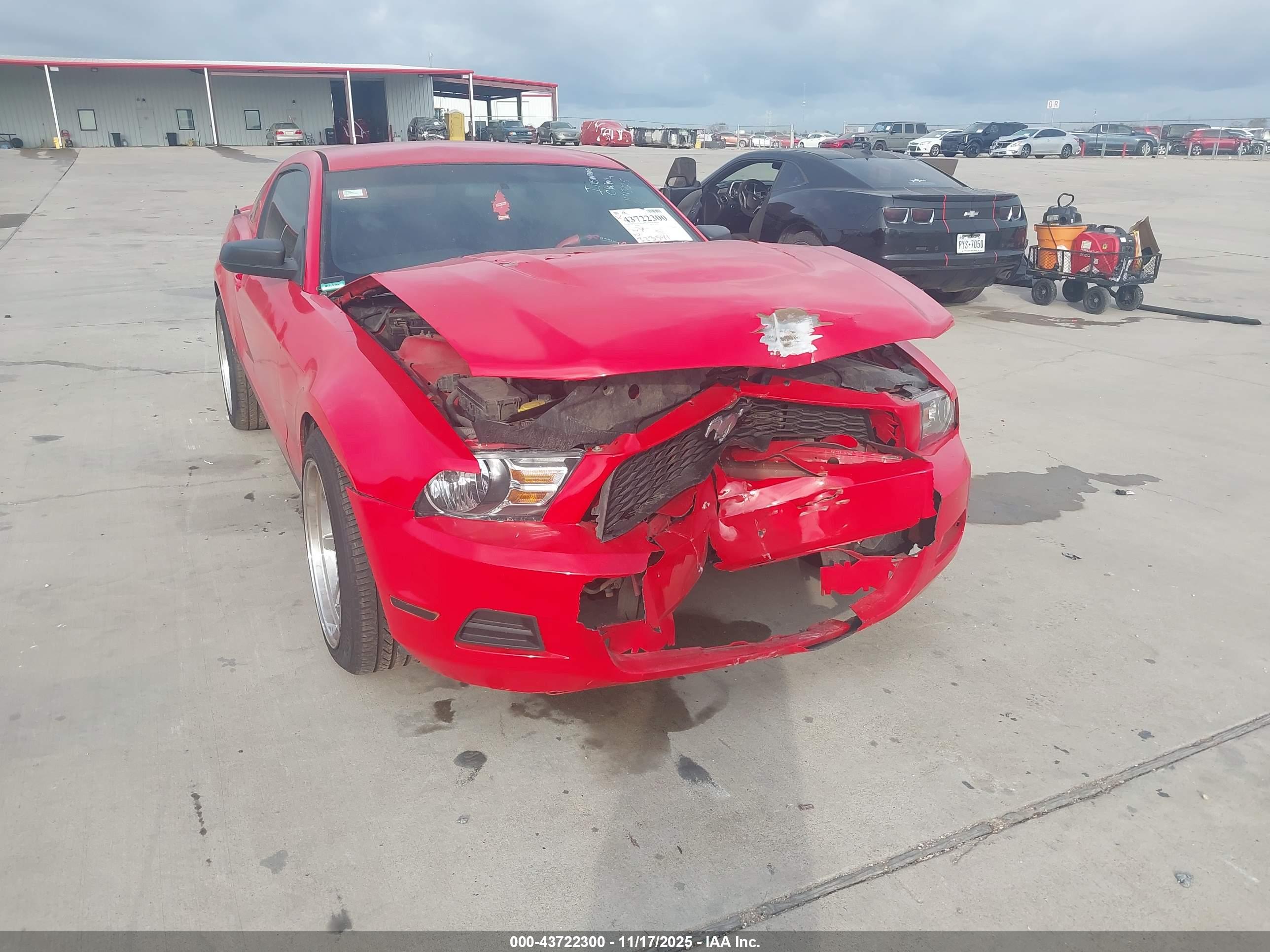 FORD MUSTANG image 6