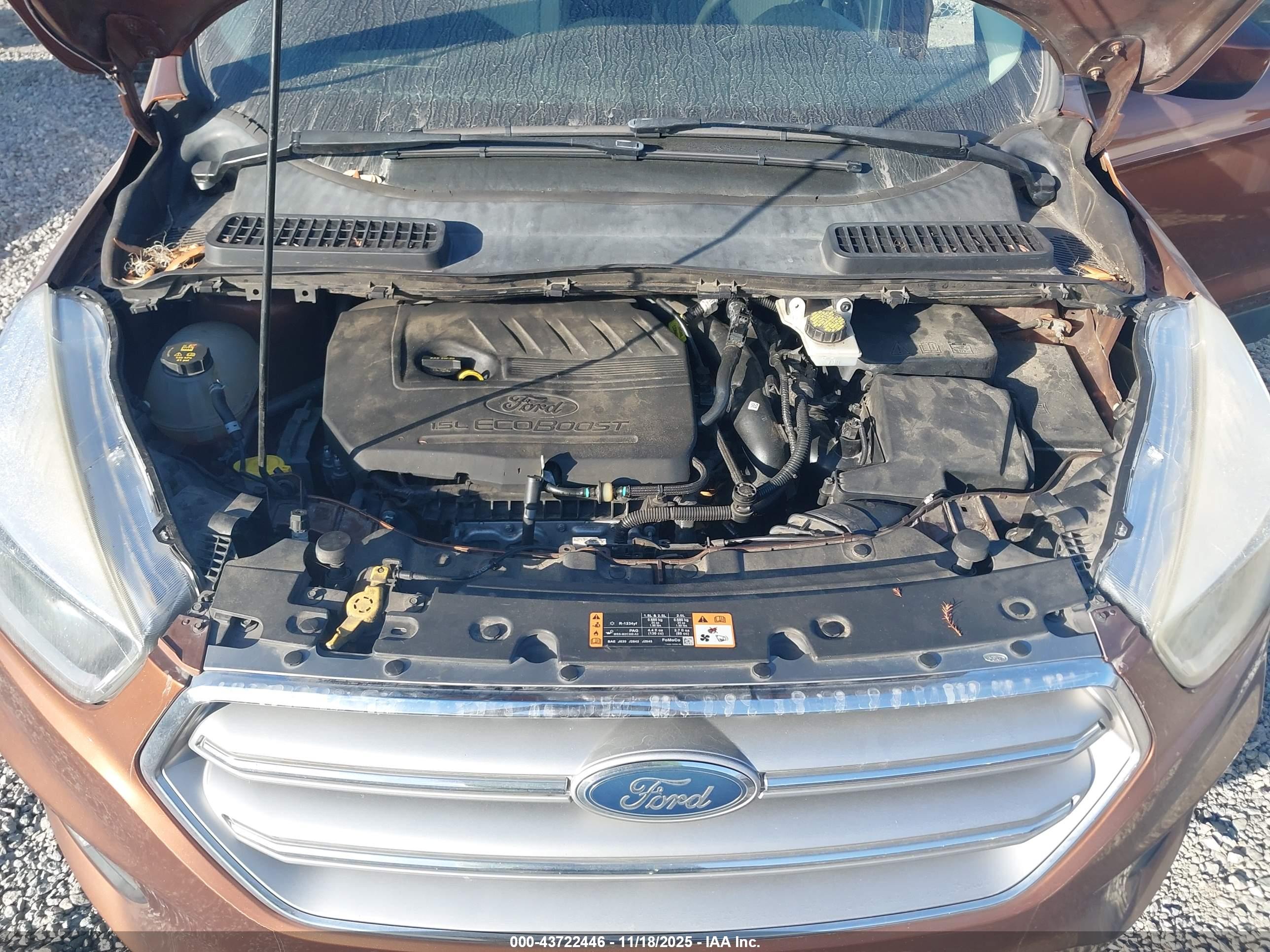 FORD ESCAPE image 10