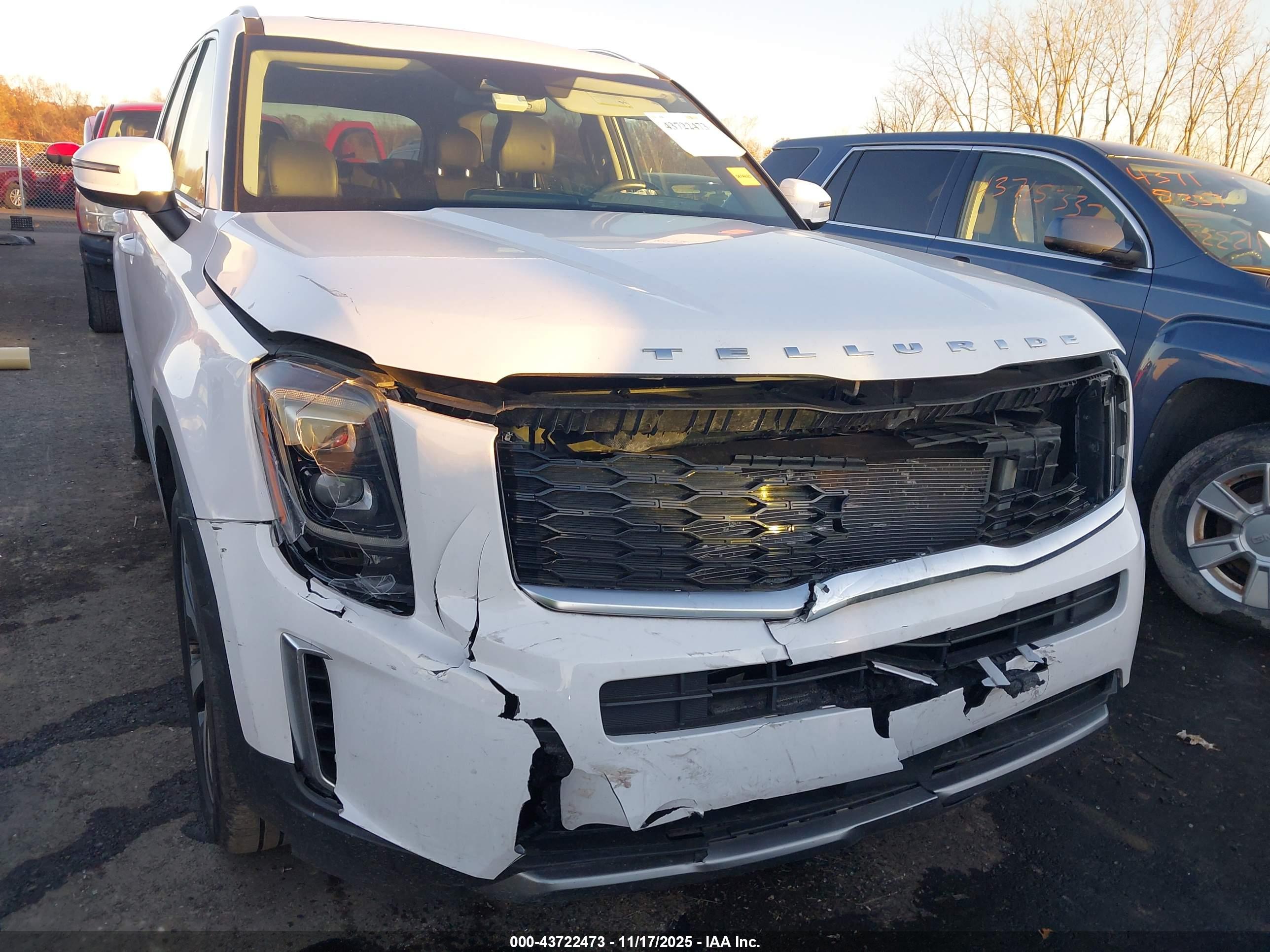 KIA TELLURIDE image 6