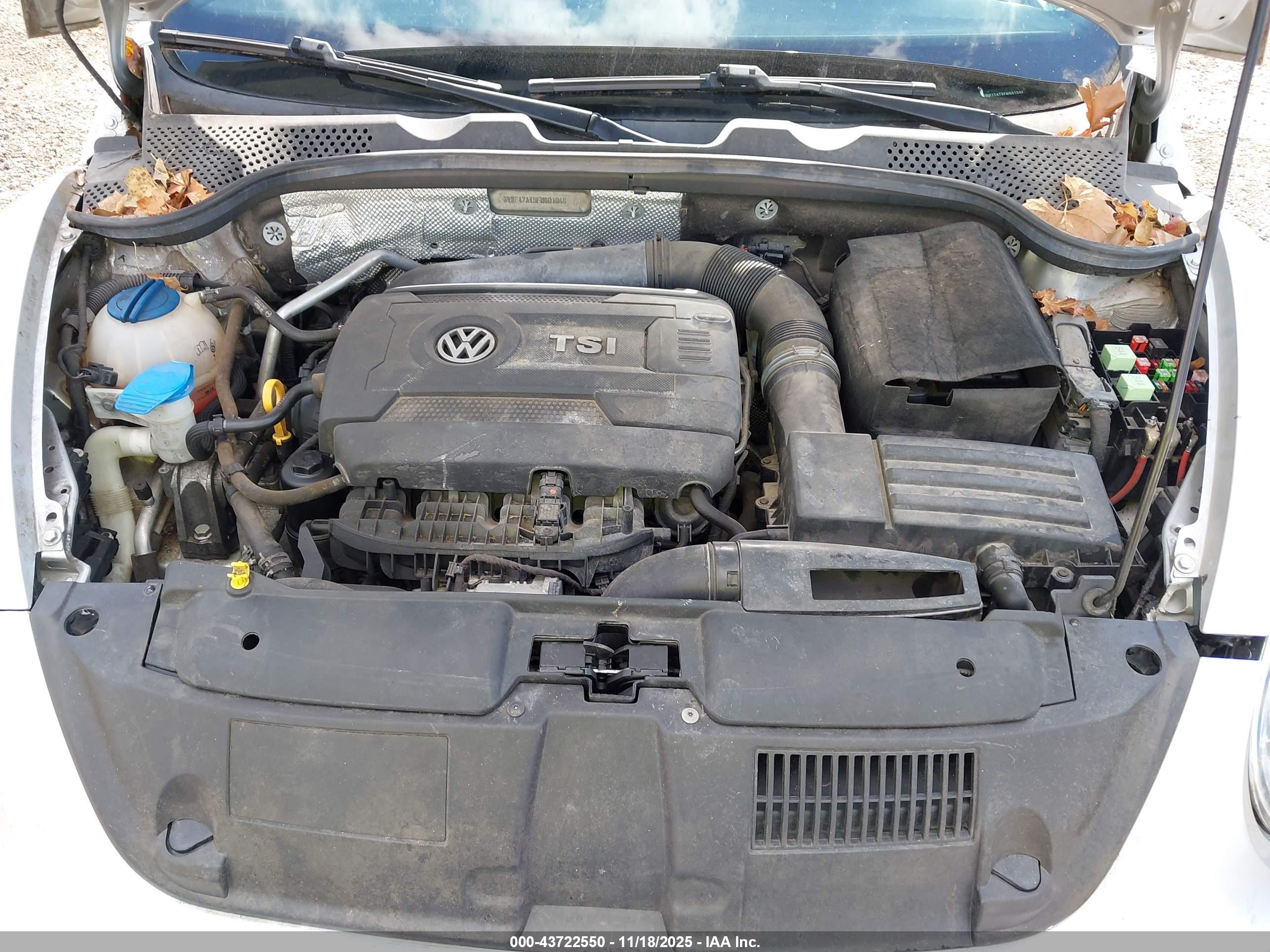 VOLKSWAGEN BEETLE image 10