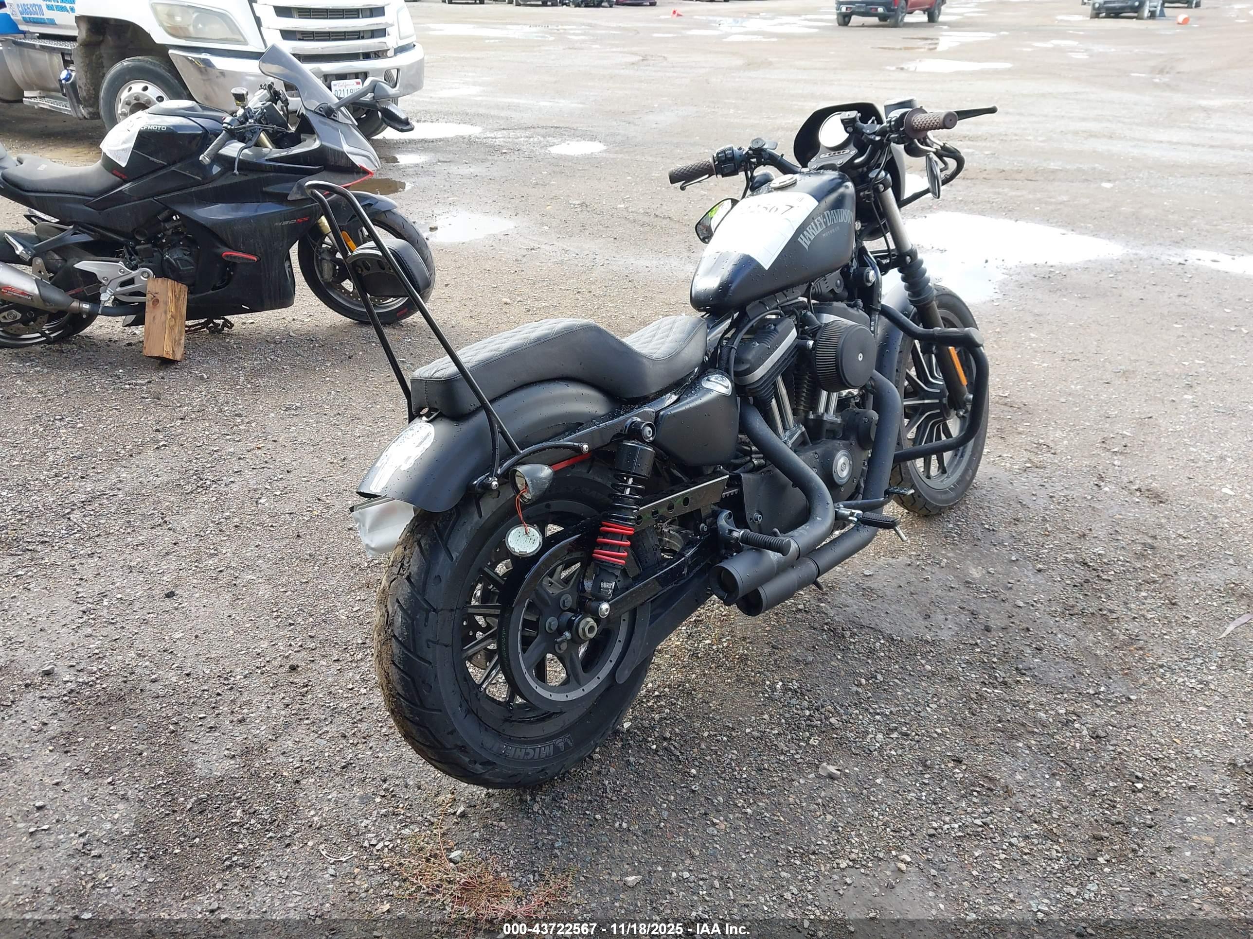HARLEY-DAVIDSON XL883 image 4