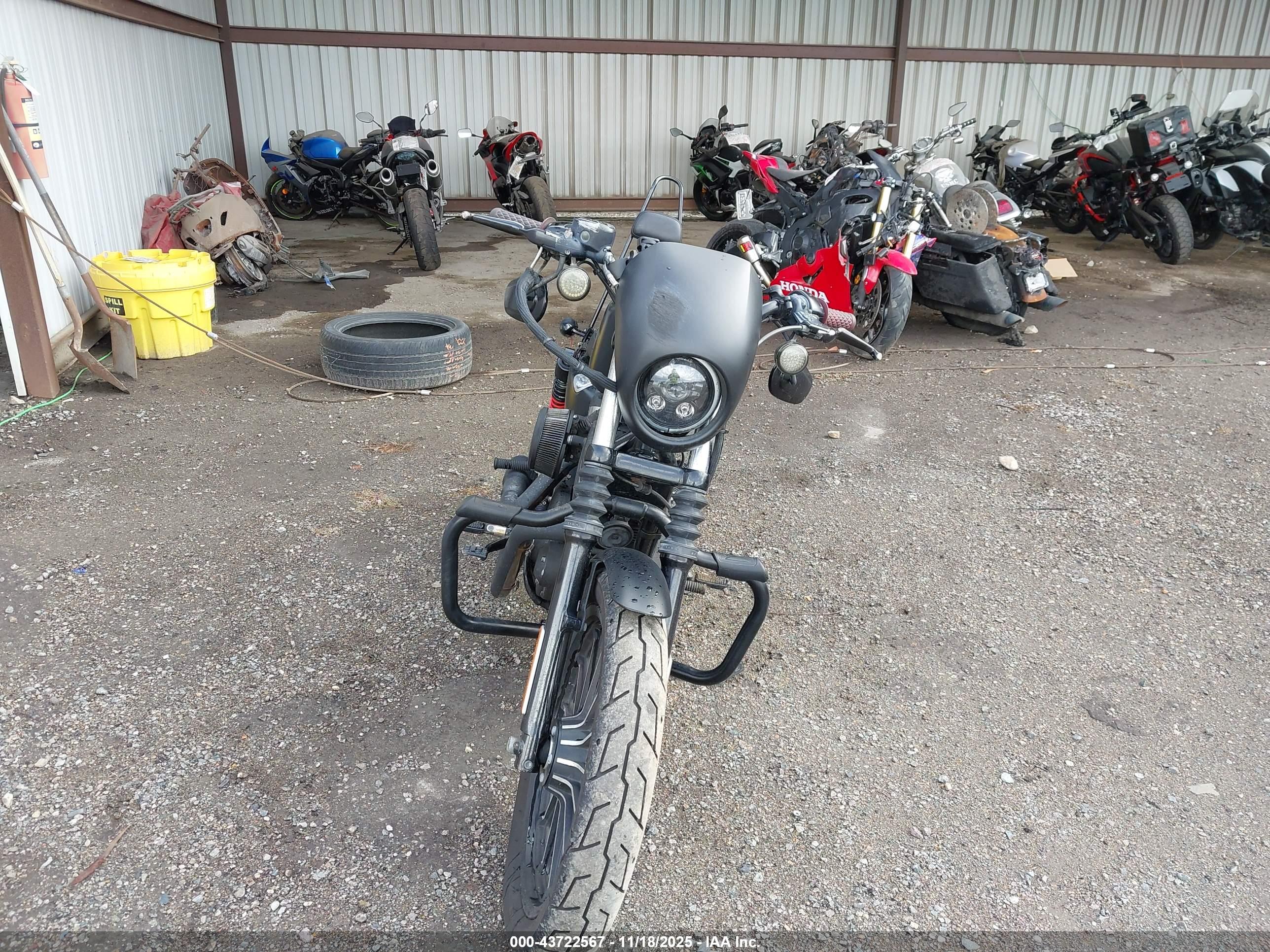 HARLEY-DAVIDSON XL883 image 5