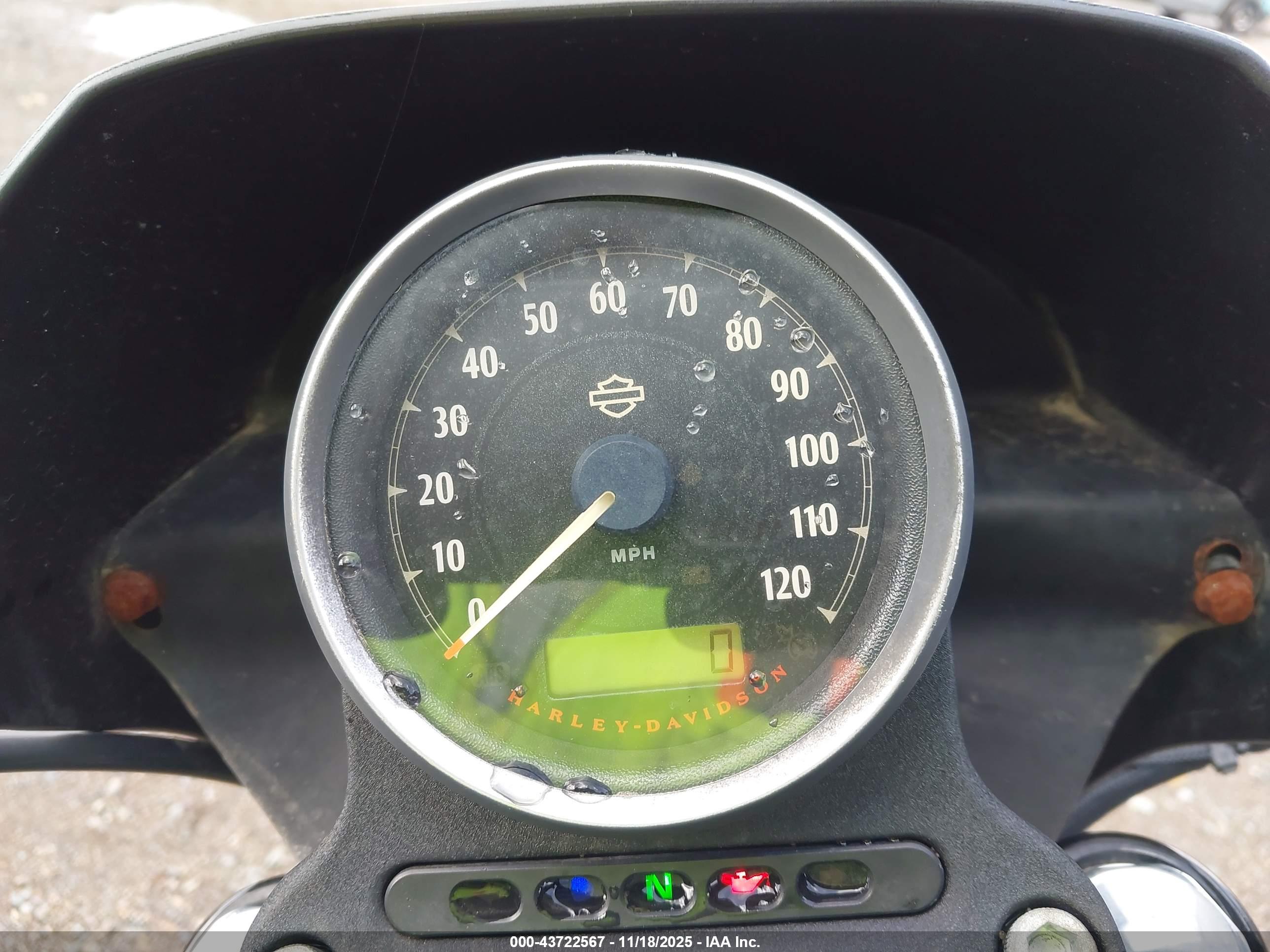 HARLEY-DAVIDSON XL883 image 7