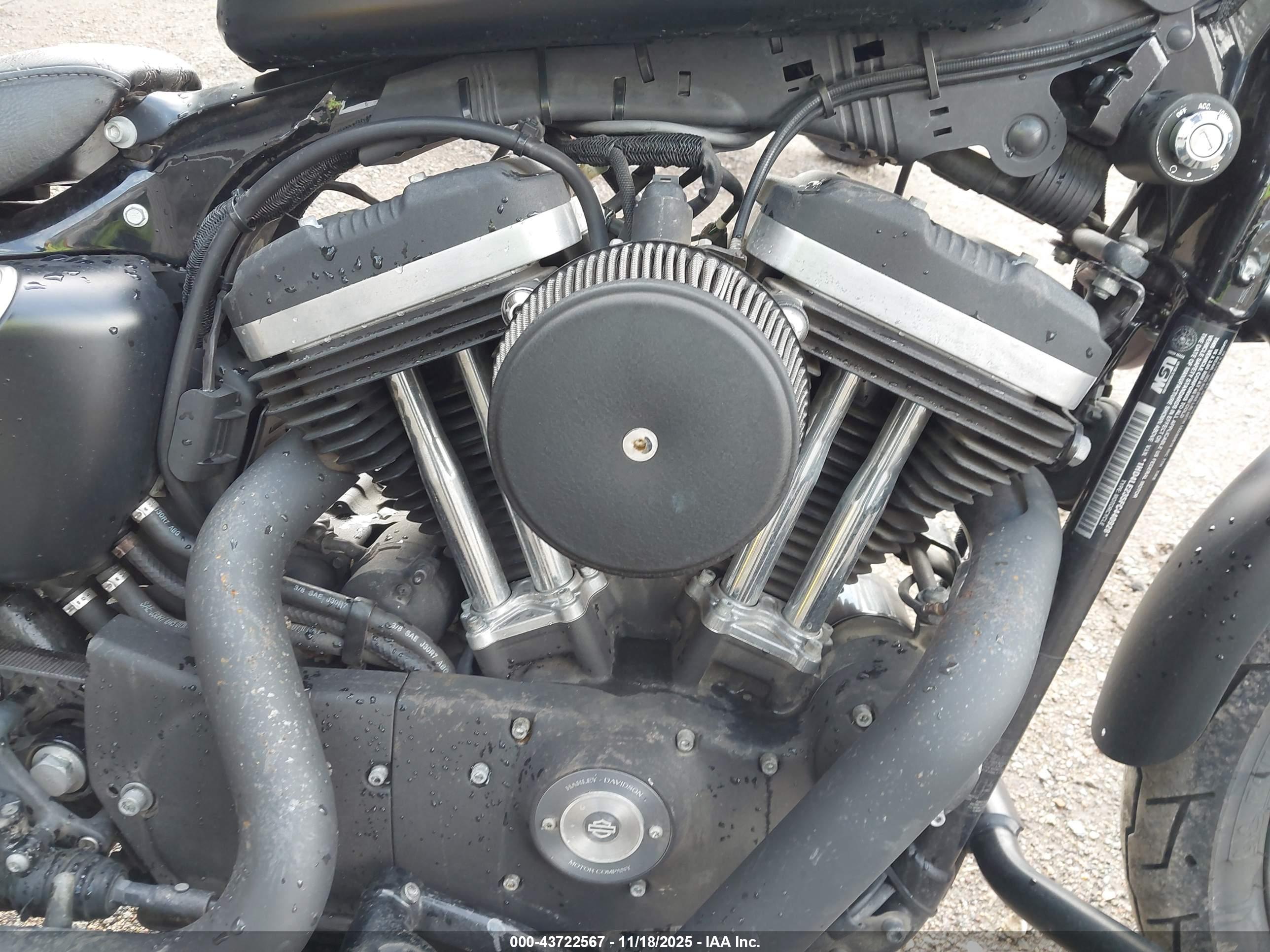 HARLEY-DAVIDSON XL883 image 8