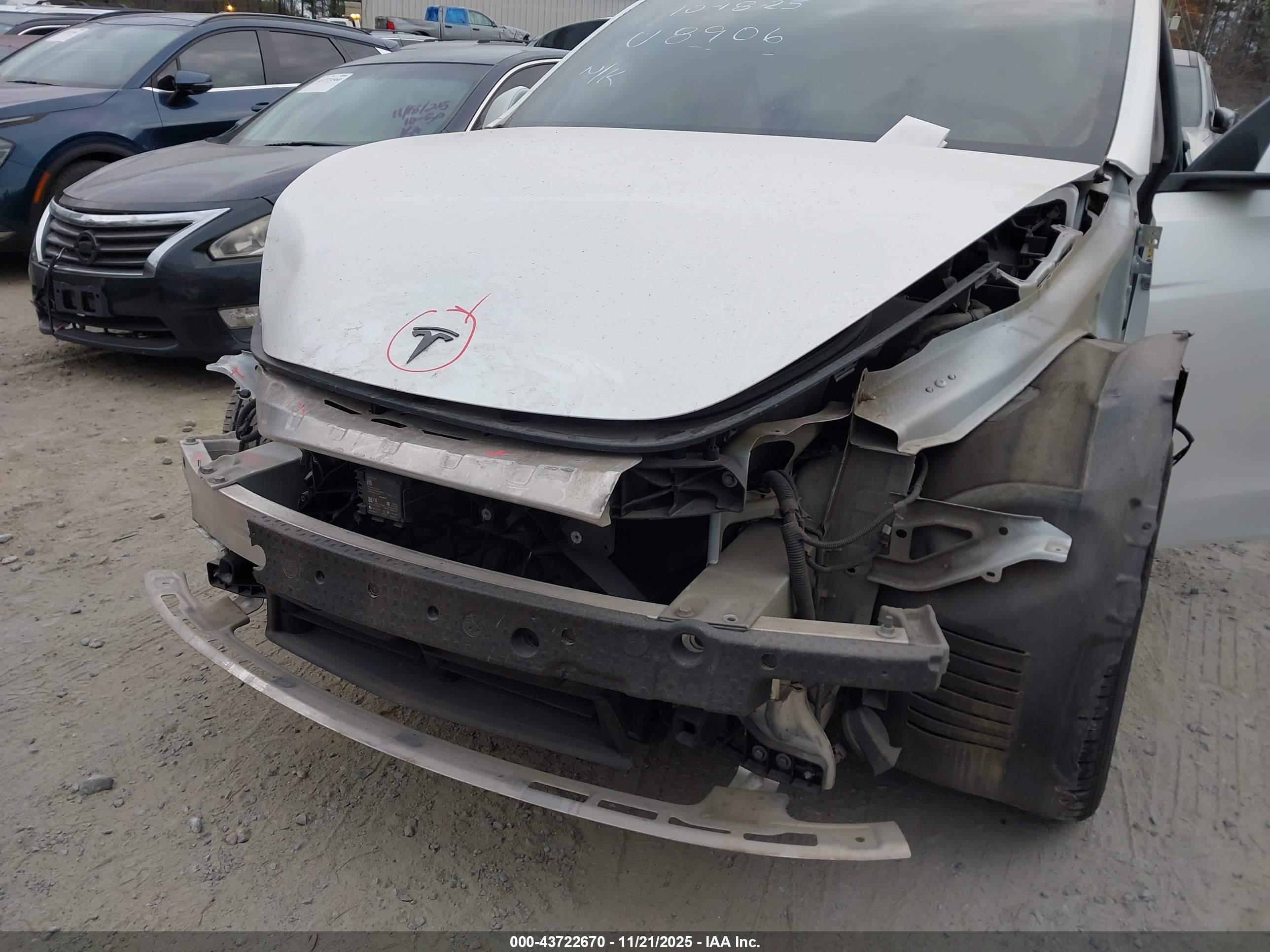 TESLA MODEL image 6