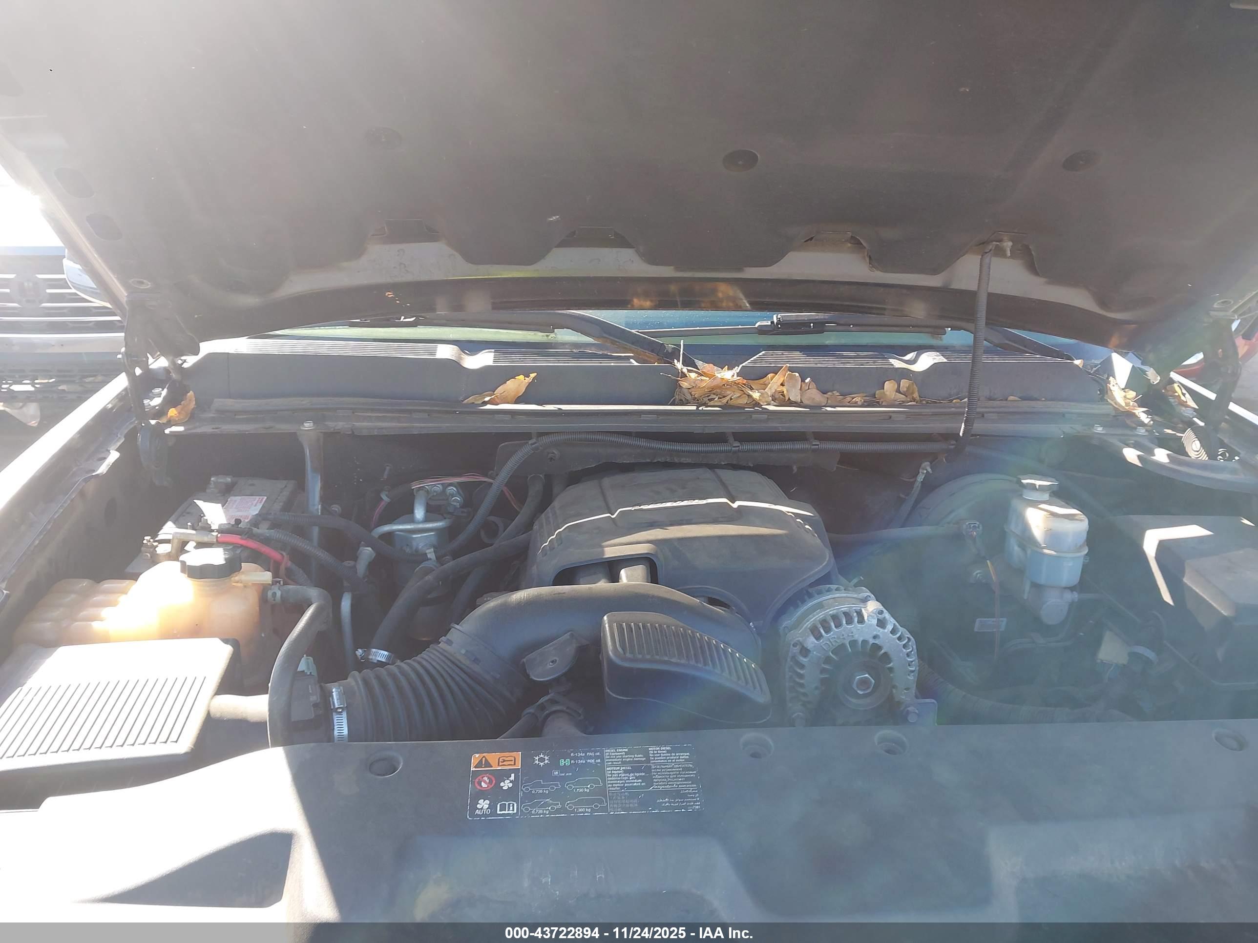 CHEVROLET SILVERADO image 10